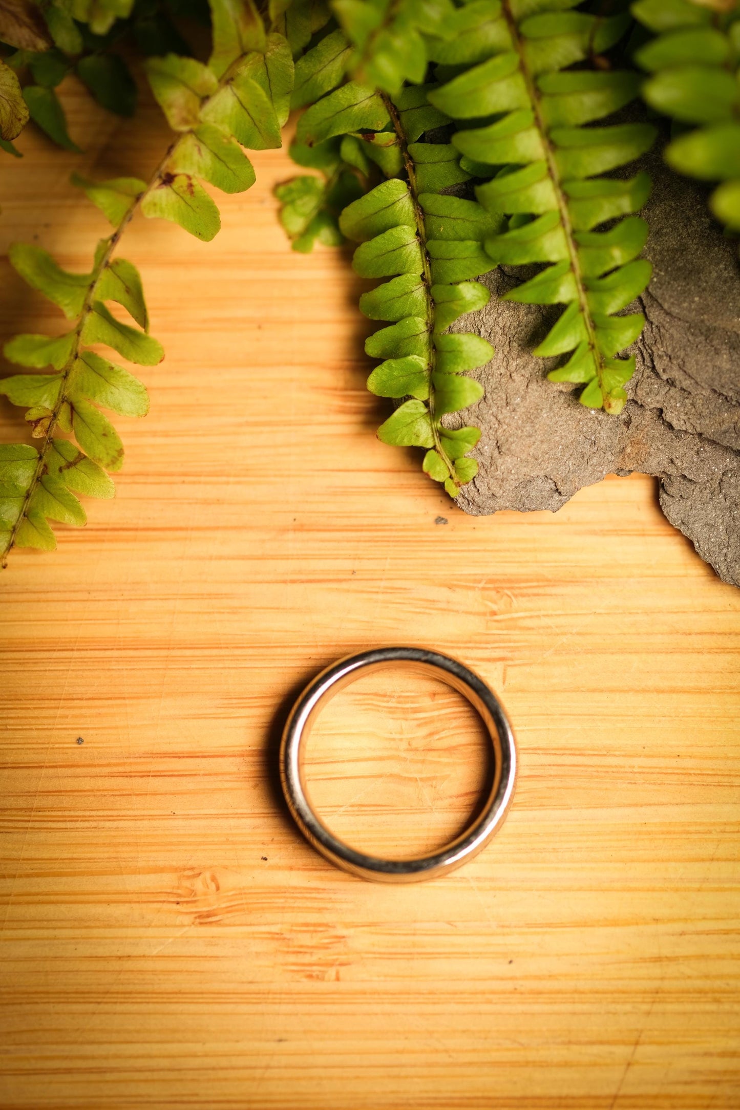 T-Rex Fossil Ring in Tungsten