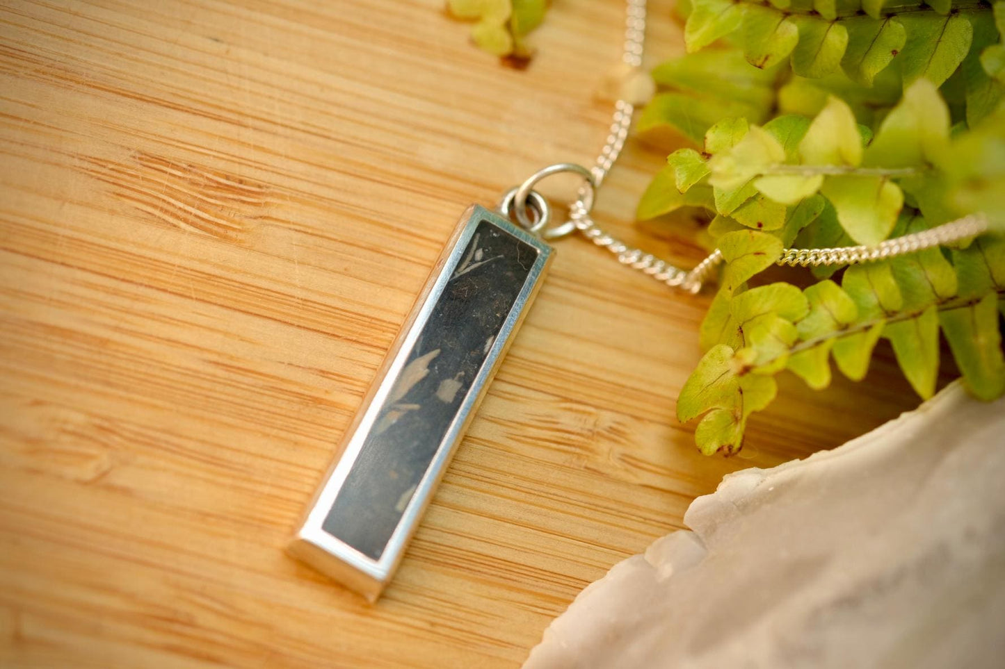 Megalodon Tooth Fossil Pendant Necklace