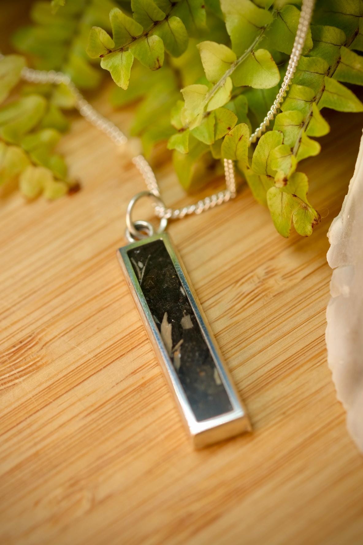 Megalodon Tooth Fossil Pendant Necklace