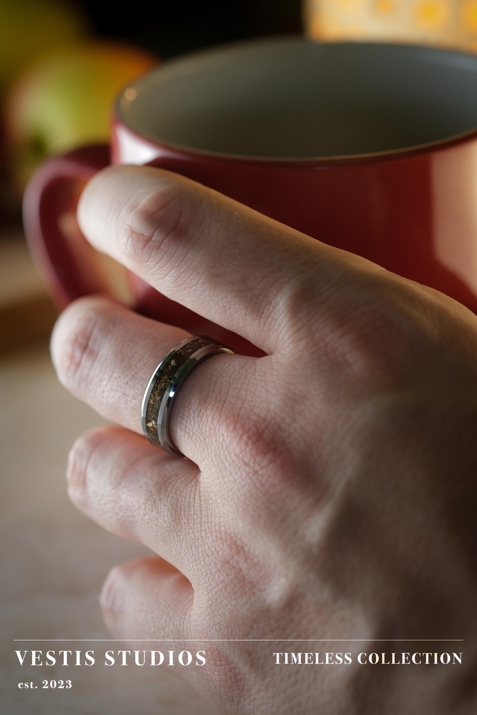 T. Rex, Triceratops & Spinosaurus Fossil Ring – Tungsten Carbide