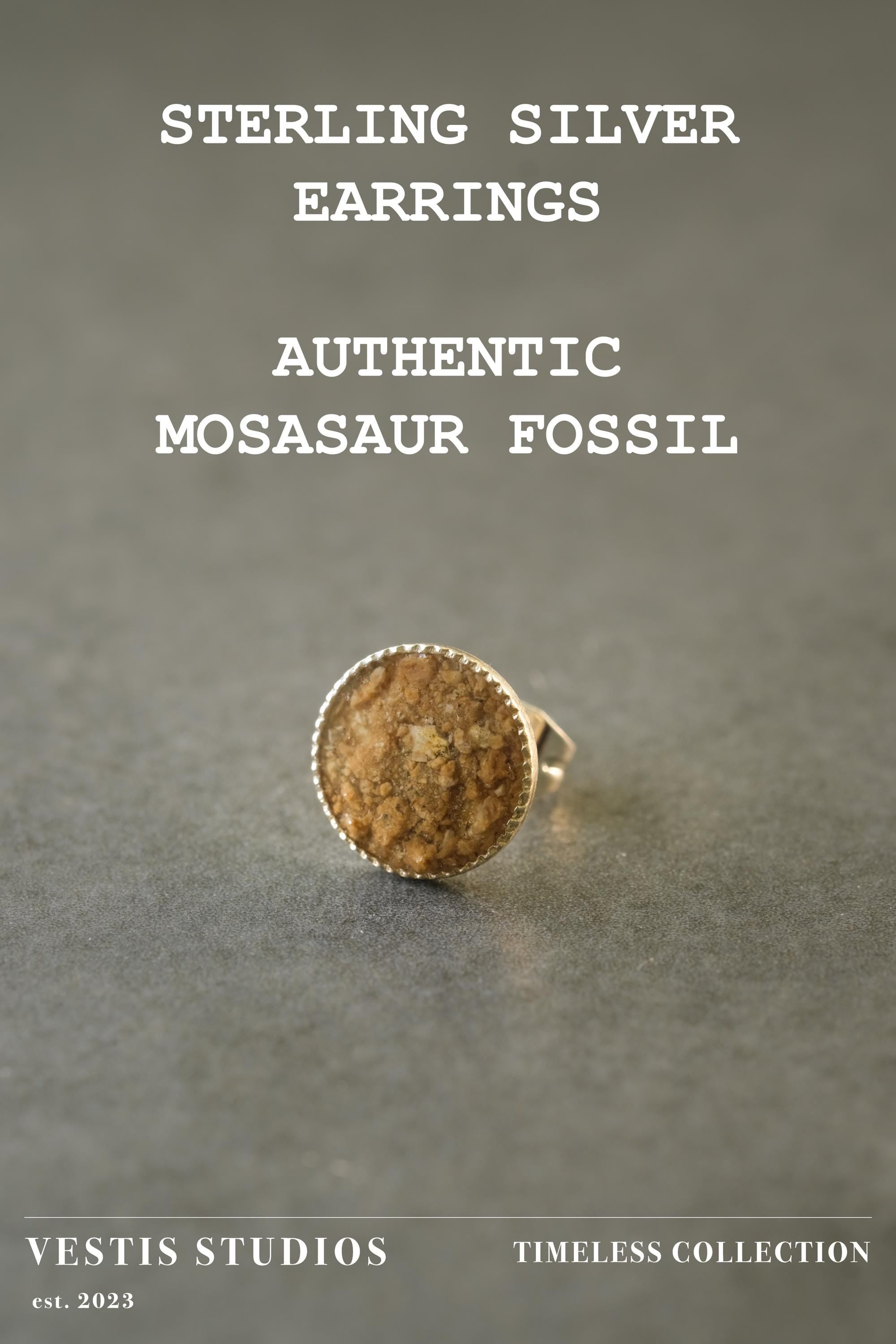 Mosasaur Fossil Earrings – Sterling Silver