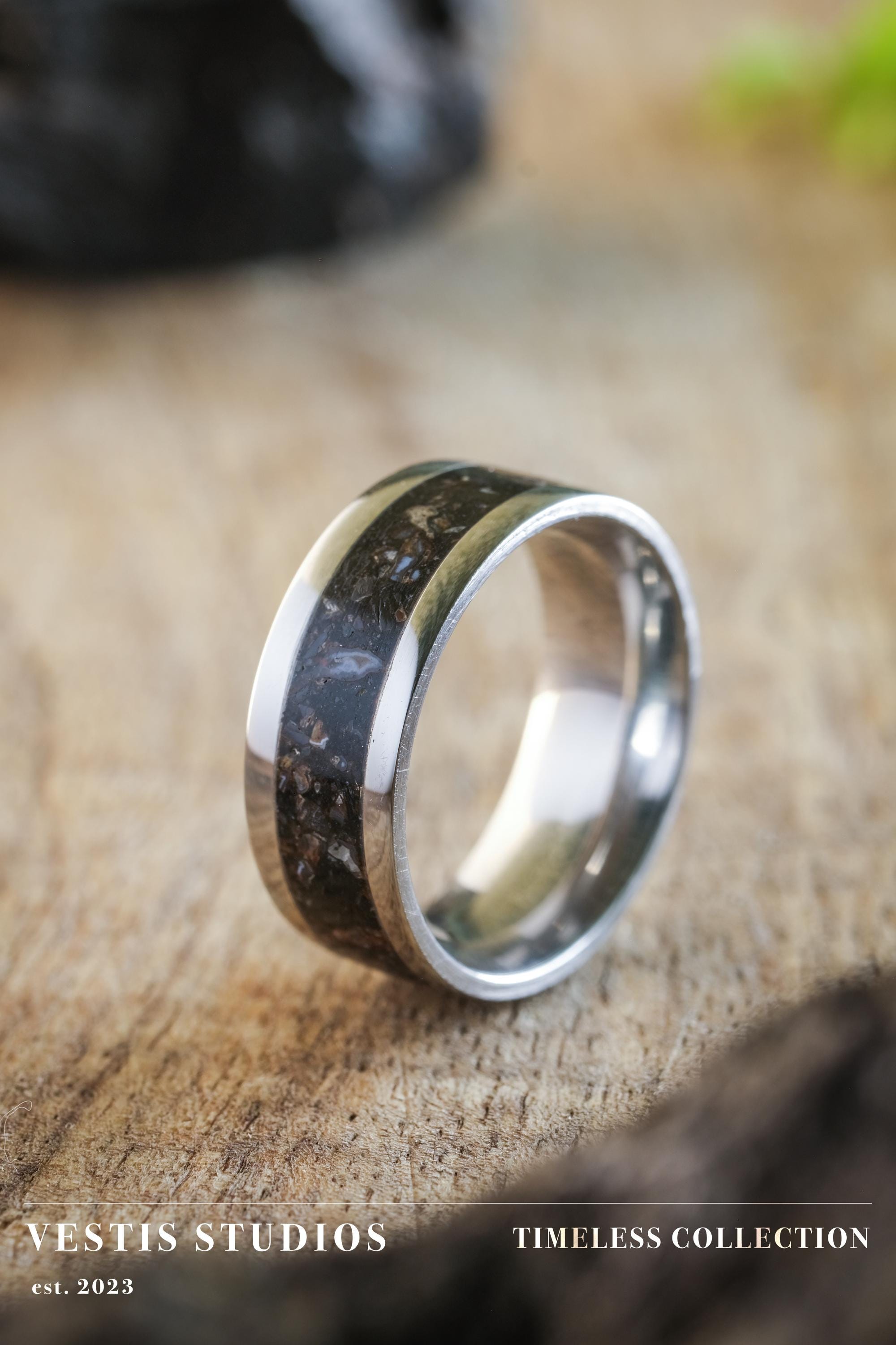 Diplodocus & Meteorite Fossil Ring – Steel