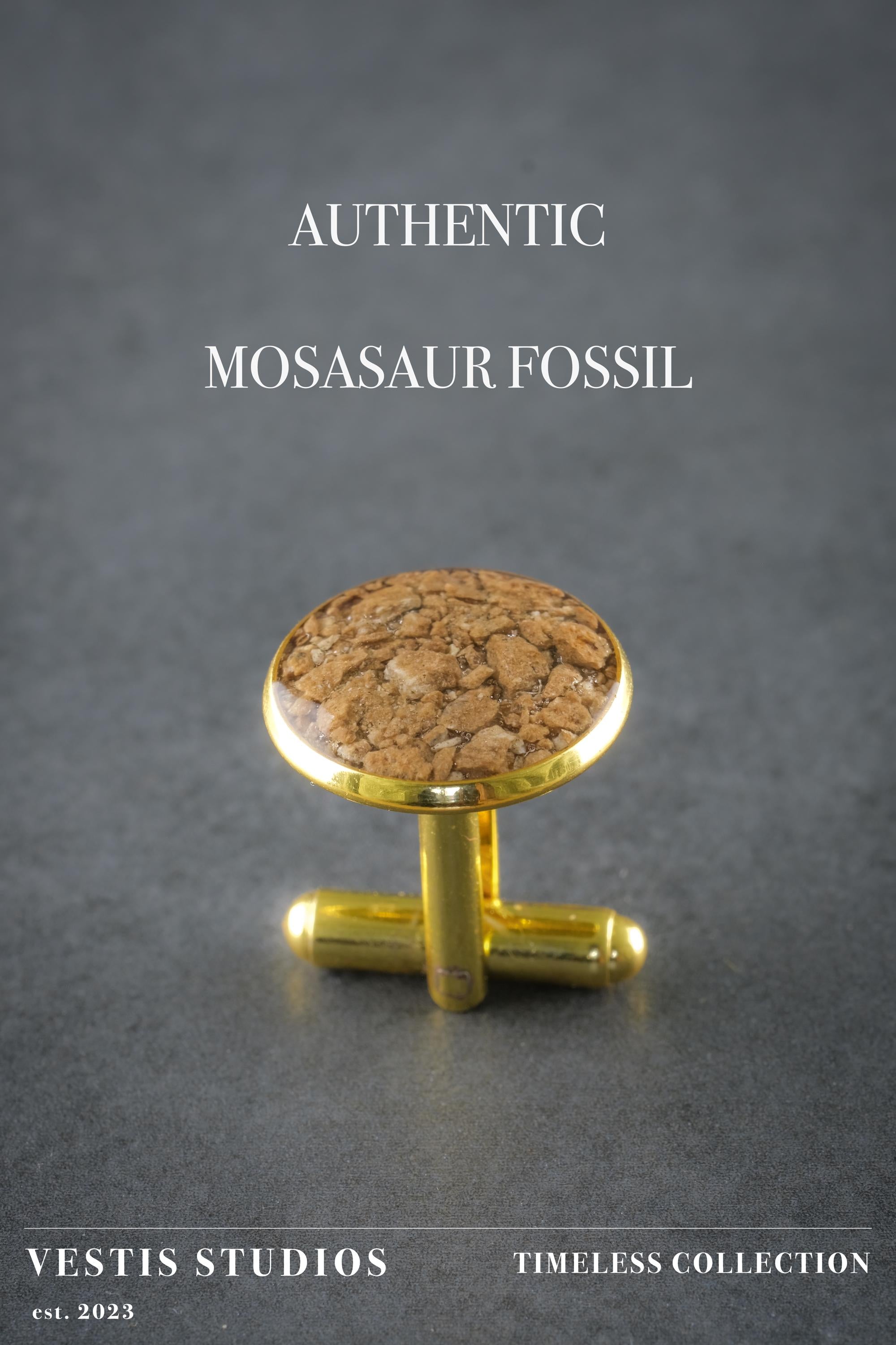 Mosasaur Fossil Cufflinks