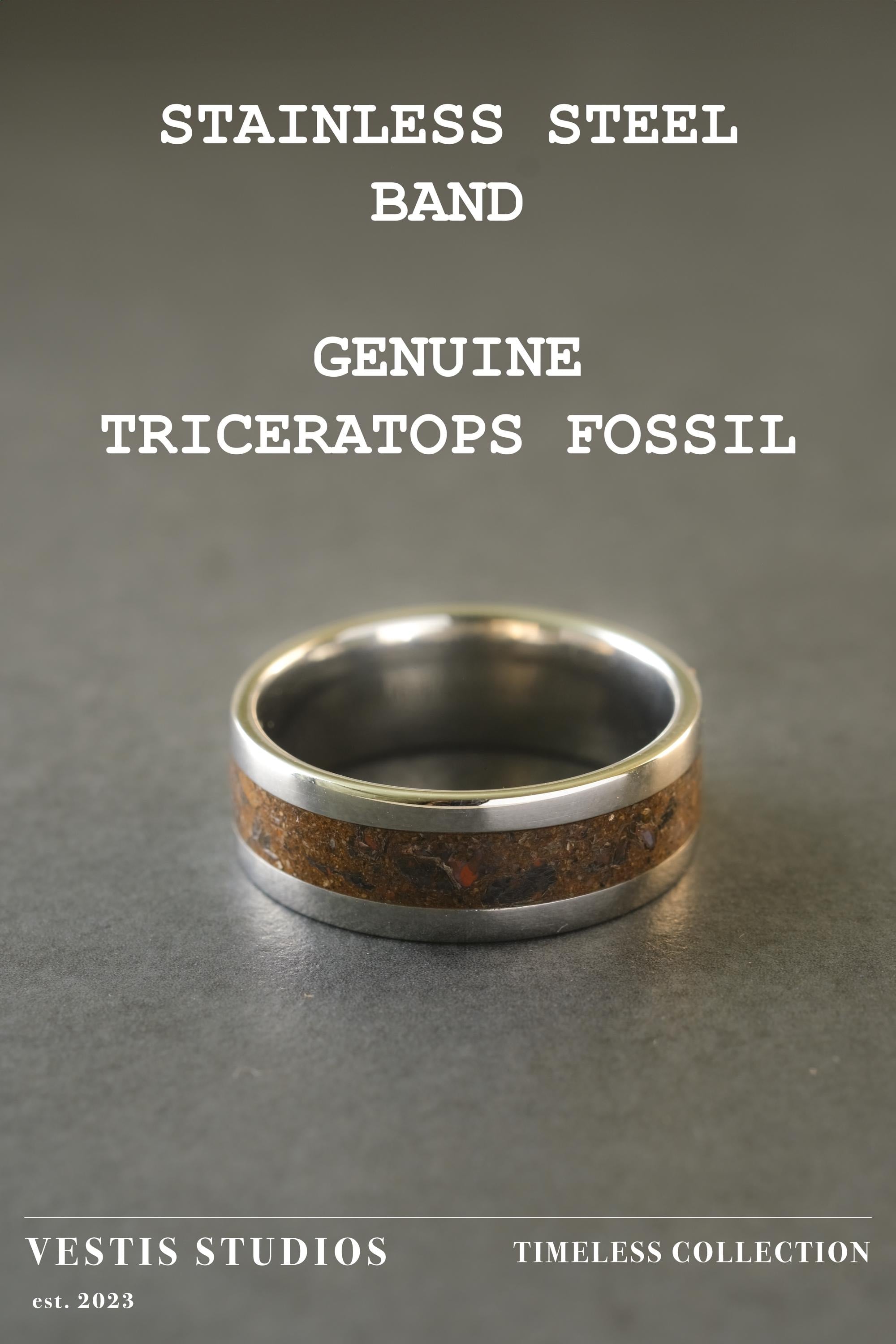 Triceratops Fossil Ring – Steel
