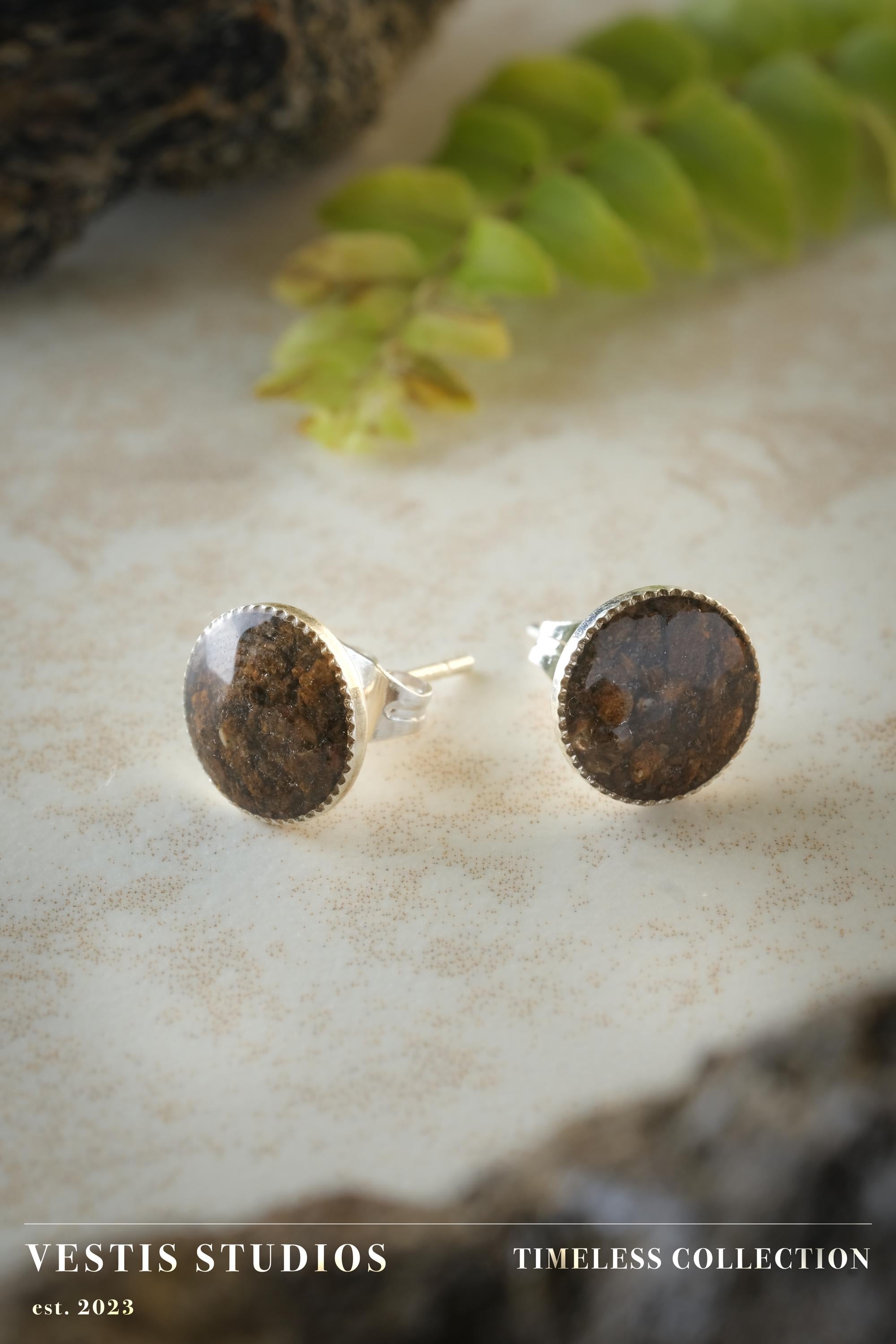 Triceratops Fossil Earrings – Sterling Silver