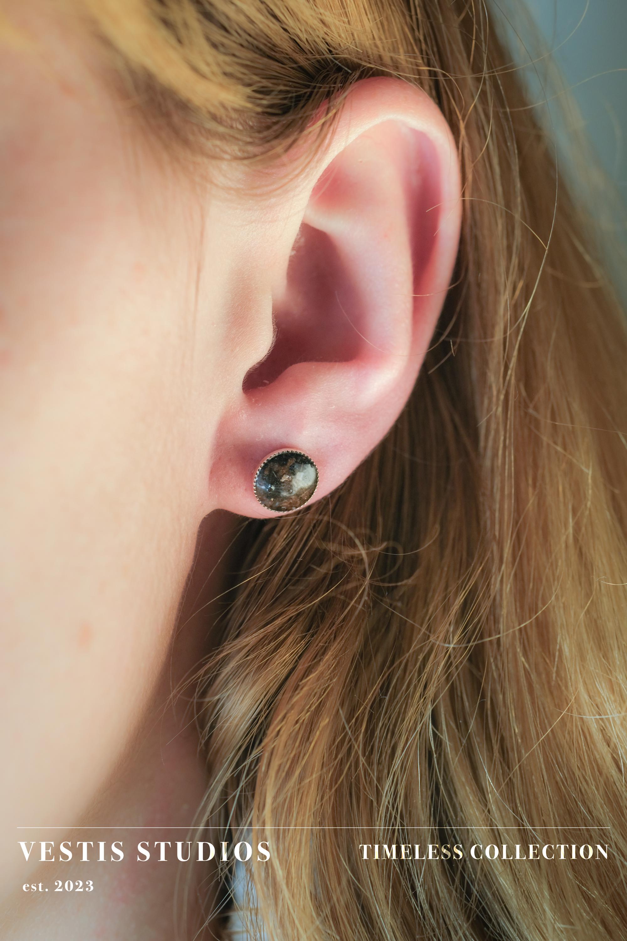 Diplodocus Fossil & Meteorite Earrings – Sterling Silver