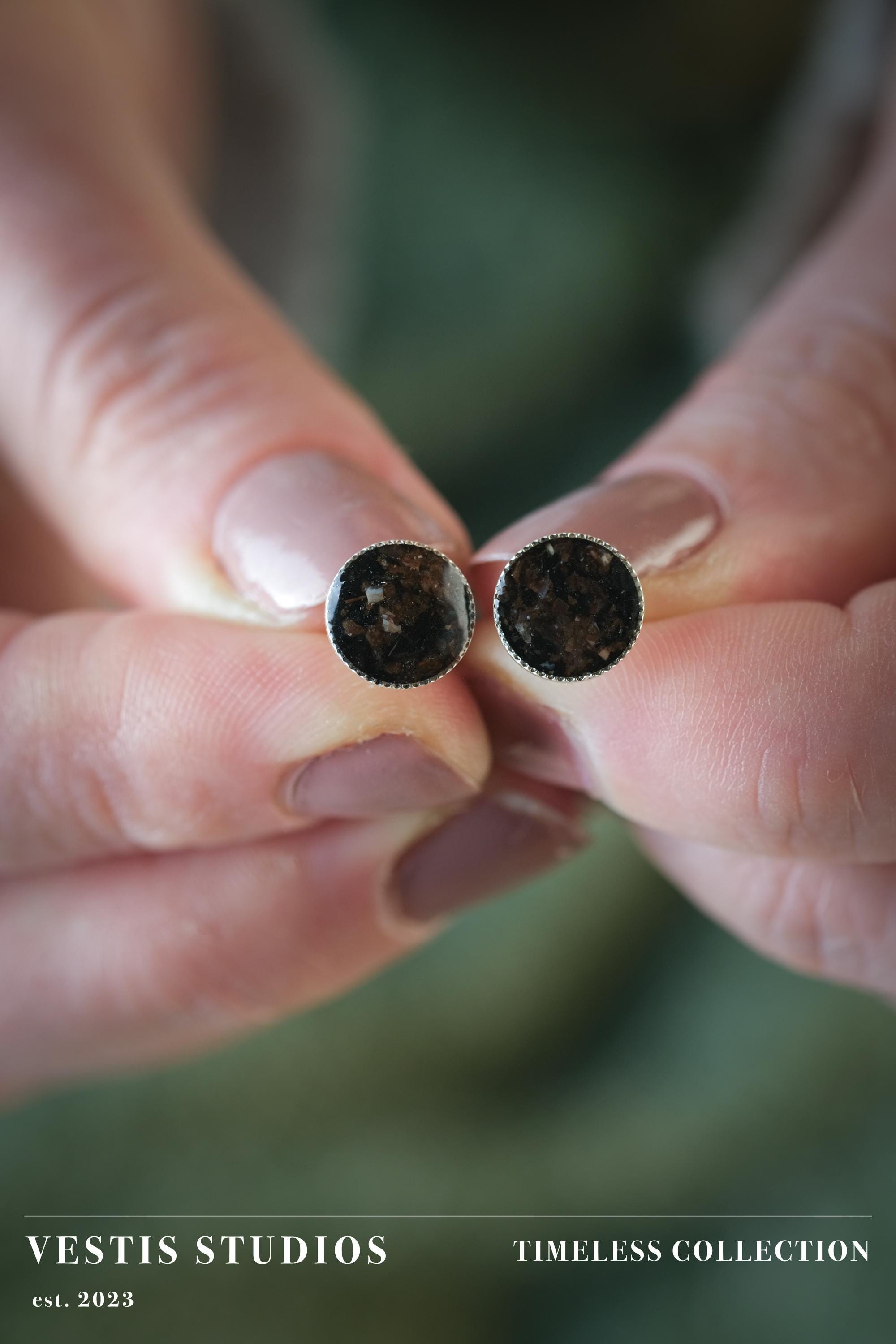 Diplodocus Fossil & Meteorite Earrings – Sterling Silver