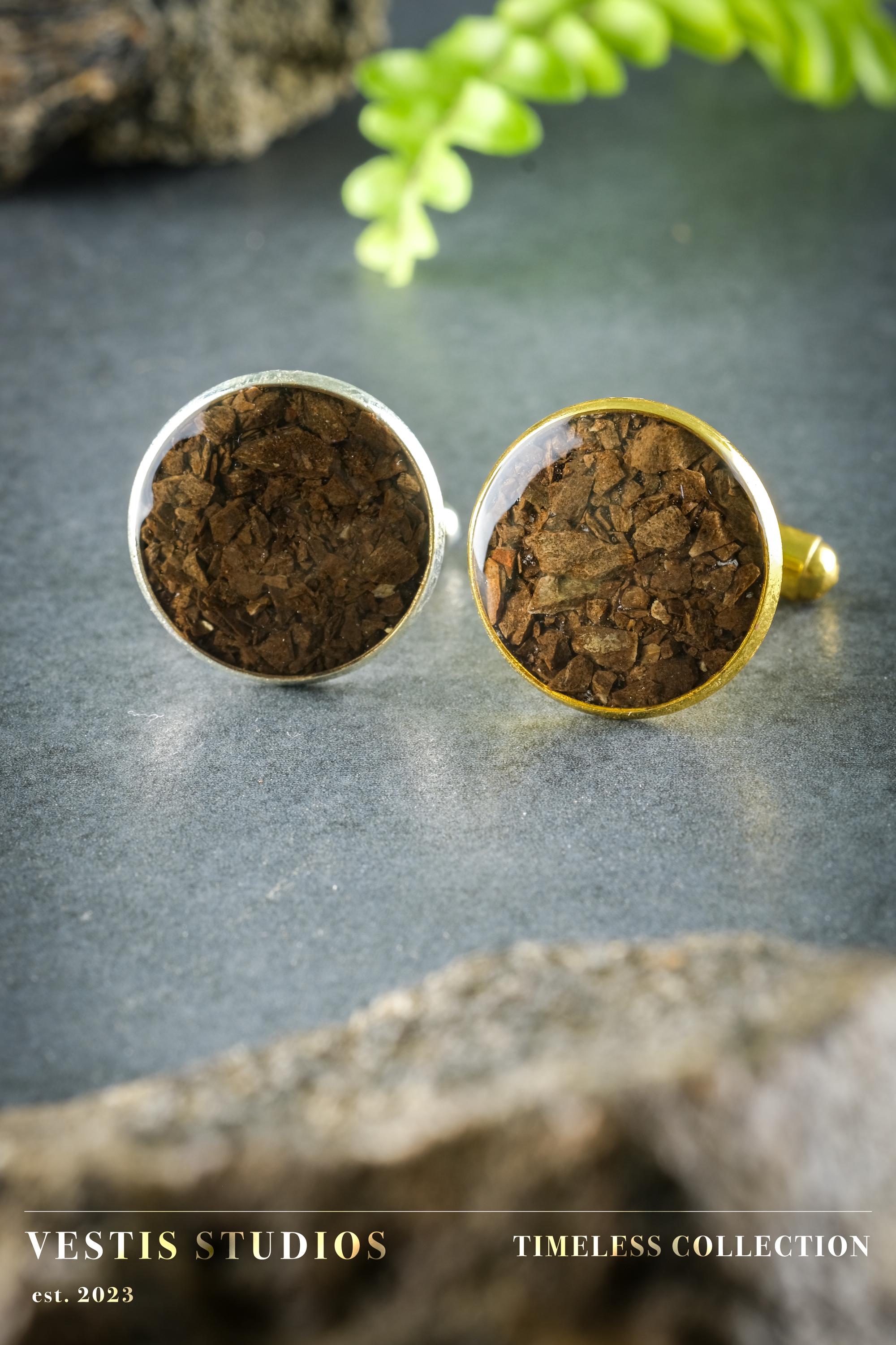 T. Rex Fossil Cufflinks