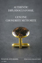 Diplodocus & Meteorite Cufflinks