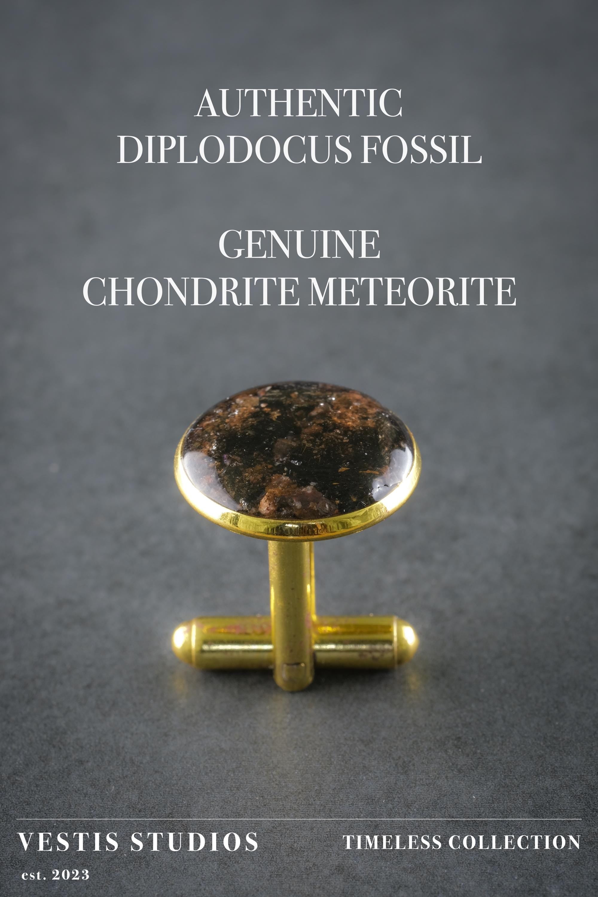 Diplodocus & Meteorite Cufflinks