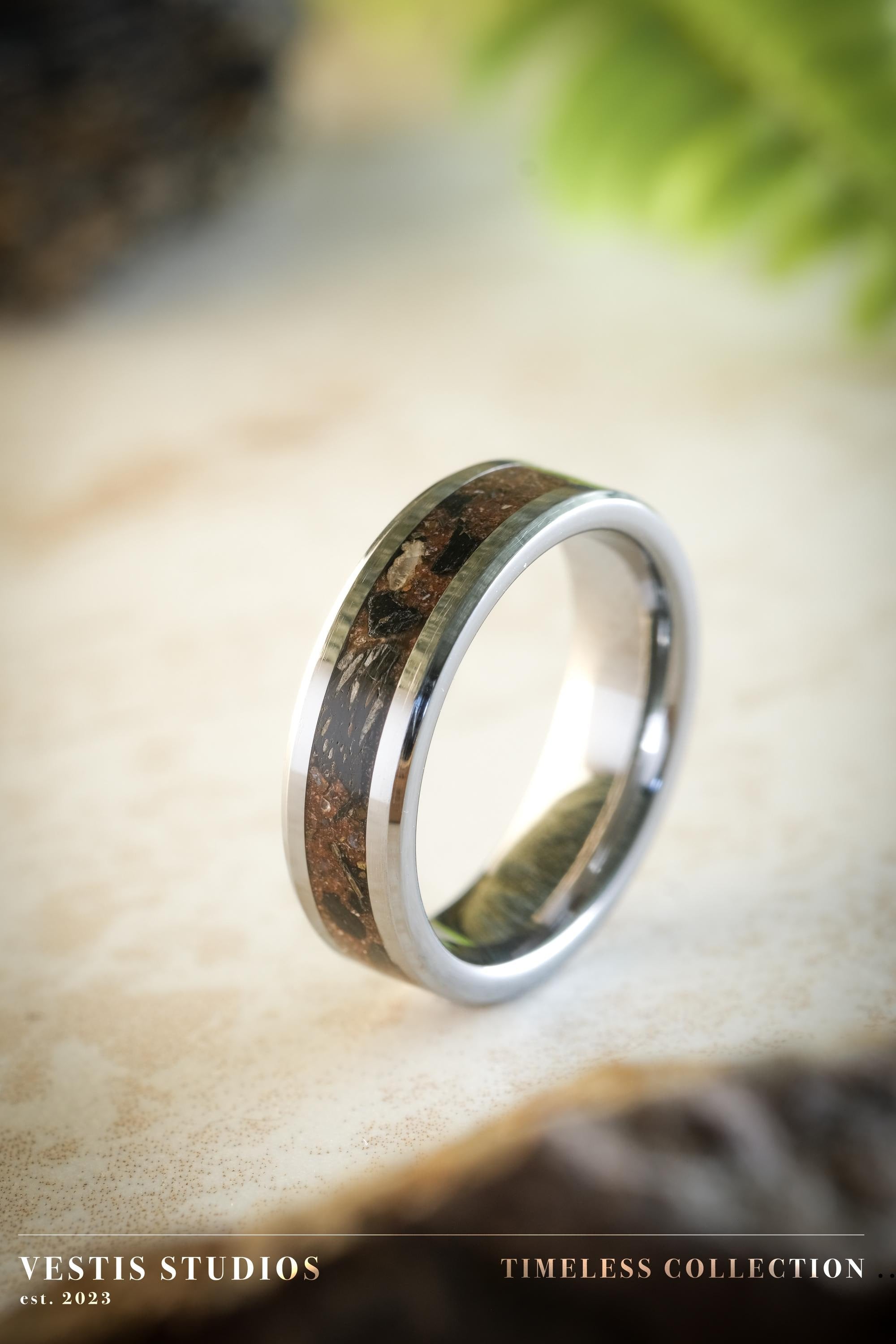 Diplodocus & Meteorite Fossil Ring – Tungsten Carbide