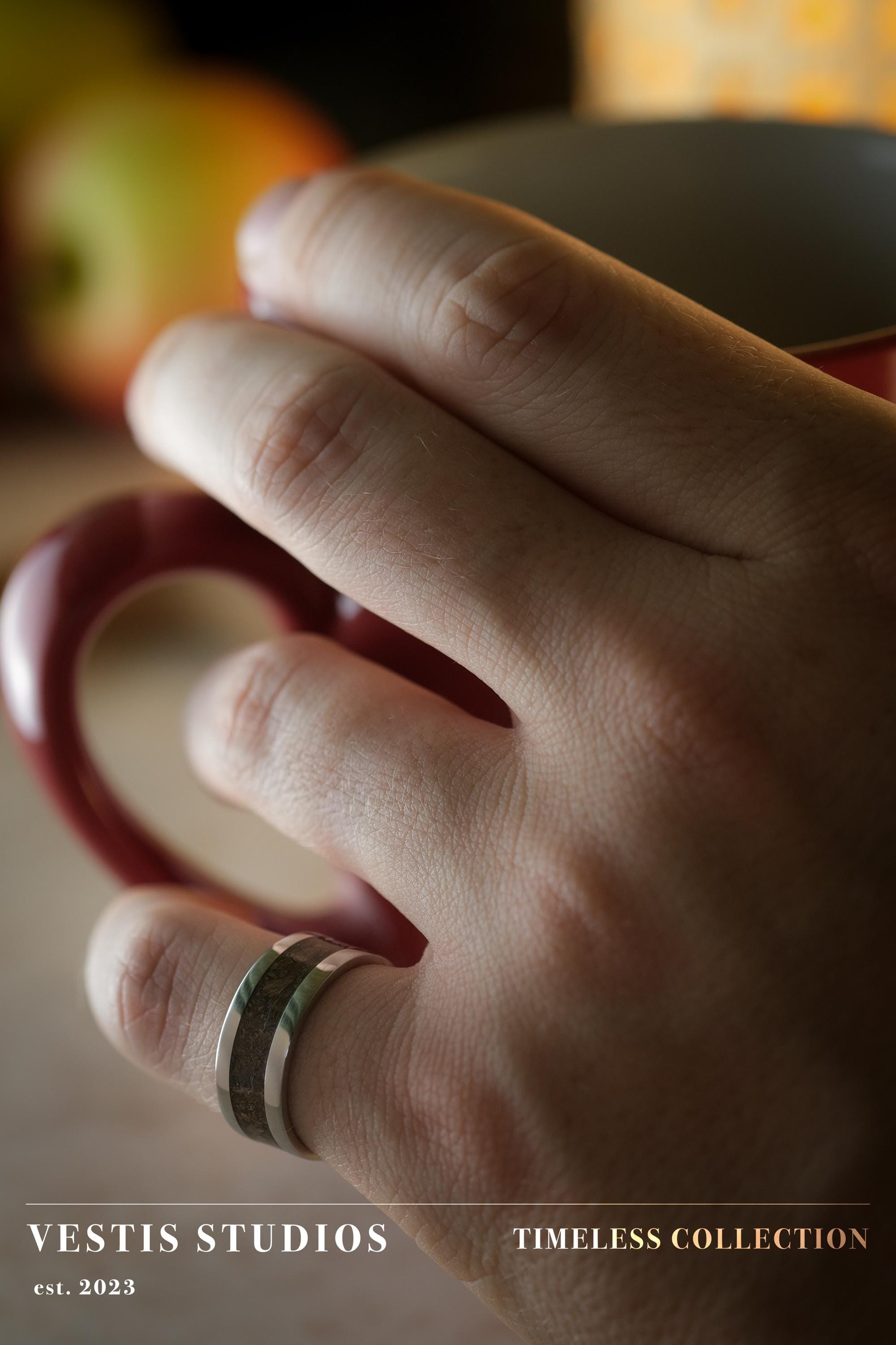 T. Rex Fossil Ring – Steel