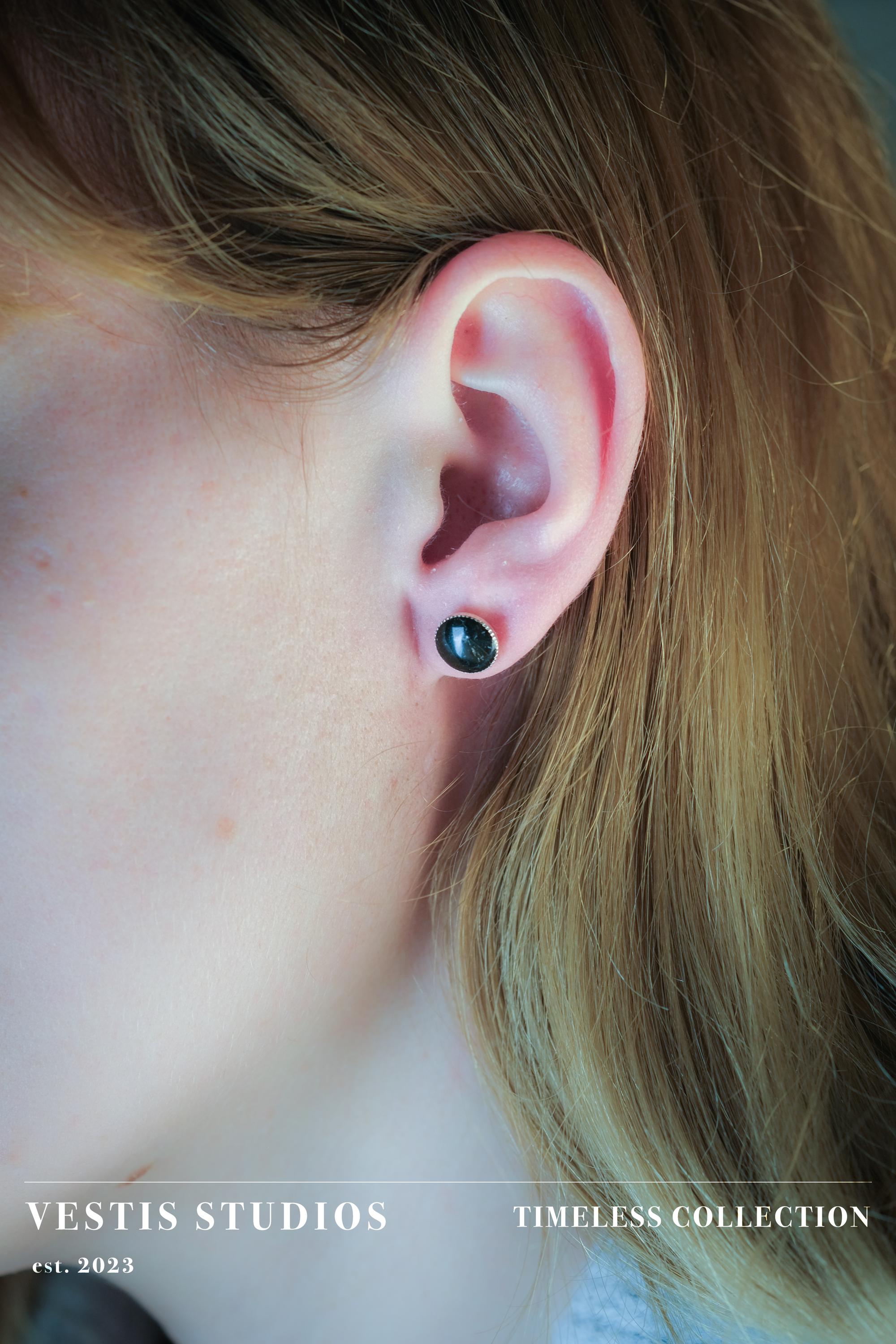 Diplodocus Fossil Earrings – Sterling Silver