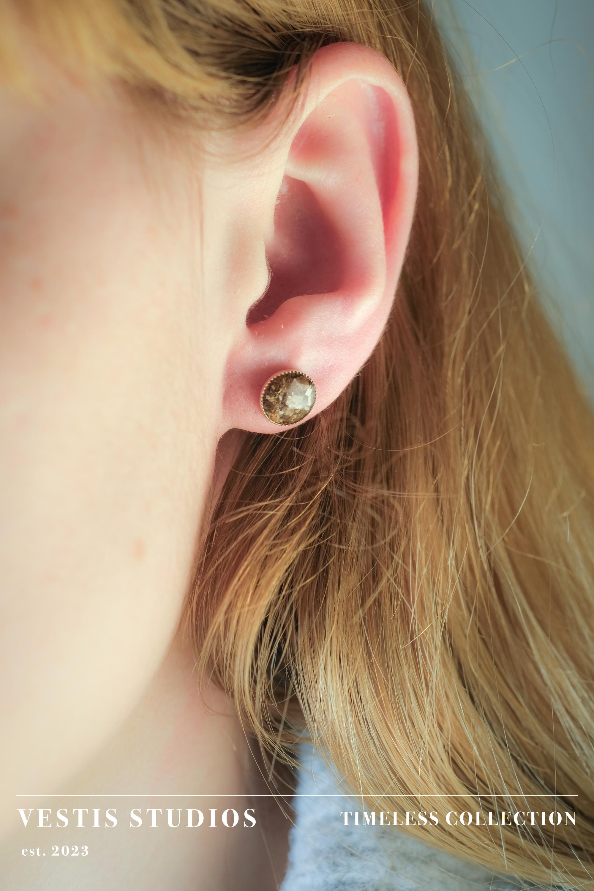 Spinosaurus, Triceratops & T. Rex Fossil Earrings – Sterling Silver