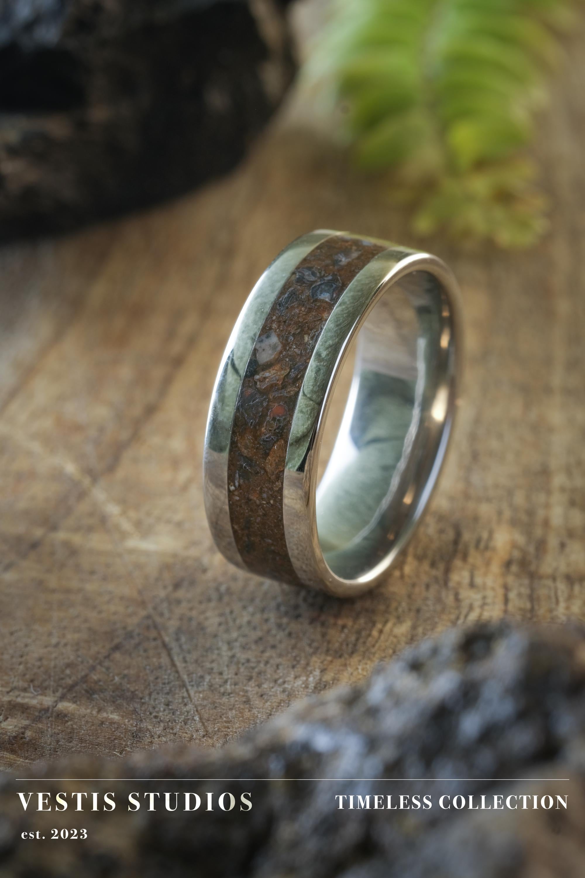 Triceratops Fossil Ring – Steel