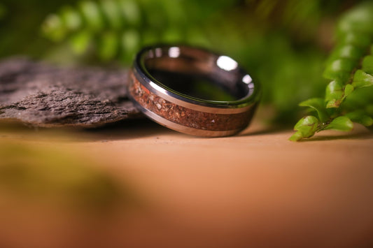 Triceratops Fossil Ring in Tungsten
