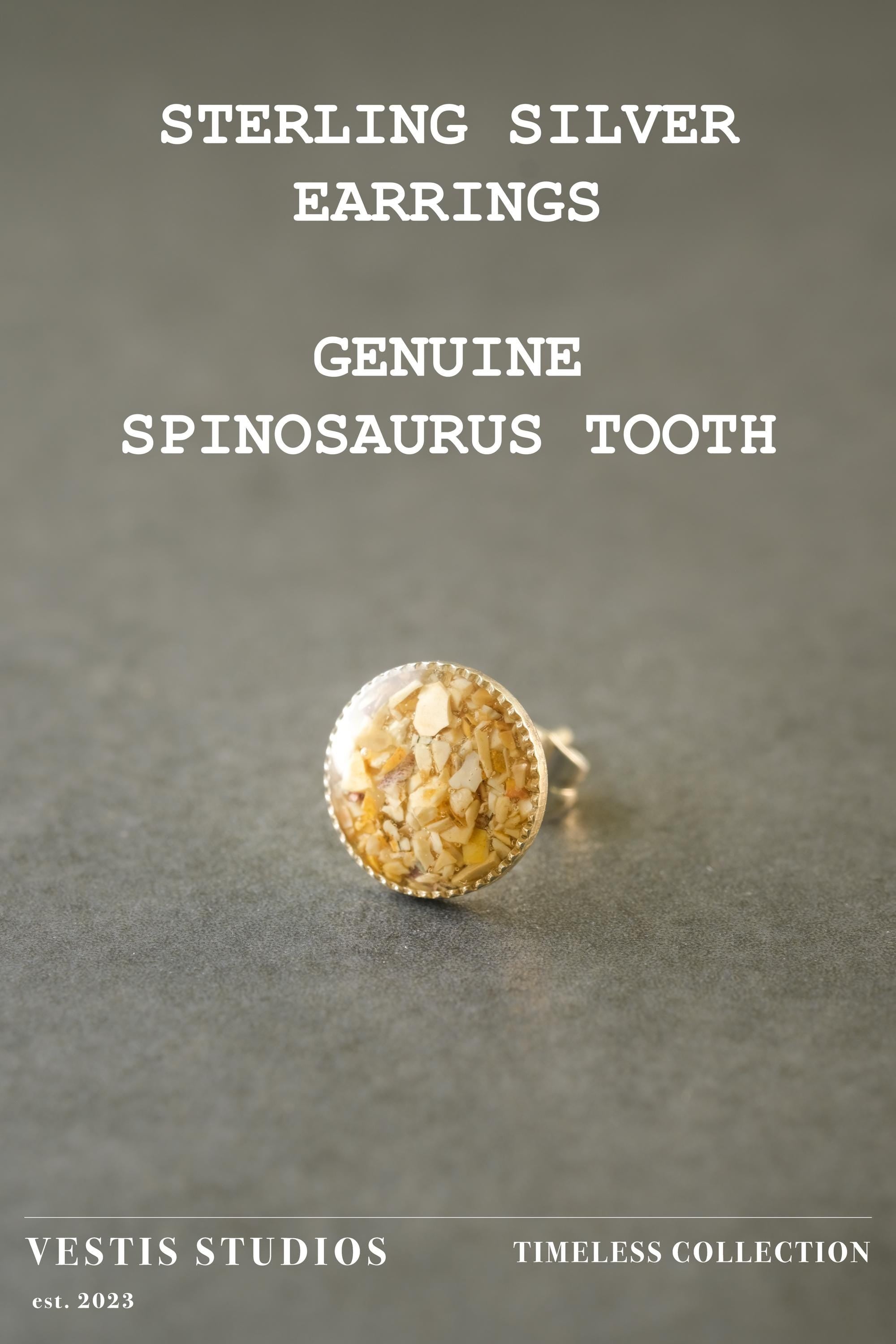 Spinosaurus Tooth Earrings – Sterling Silver