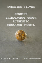 Spinosaurus Tooth & Mosasaur Fossil Earrings – Sterling Silver