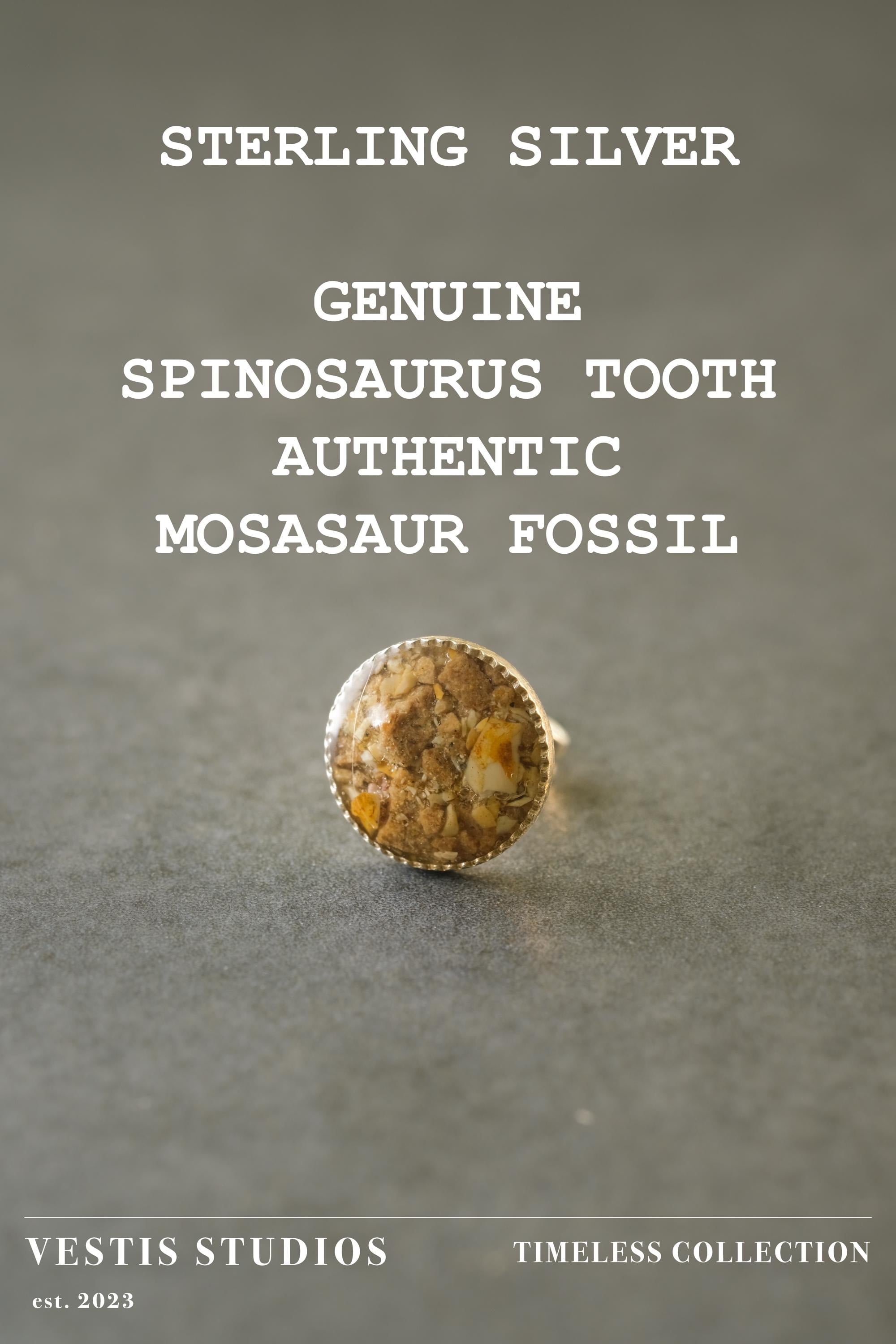Spinosaurus Tooth & Mosasaur Fossil Earrings – Sterling Silver