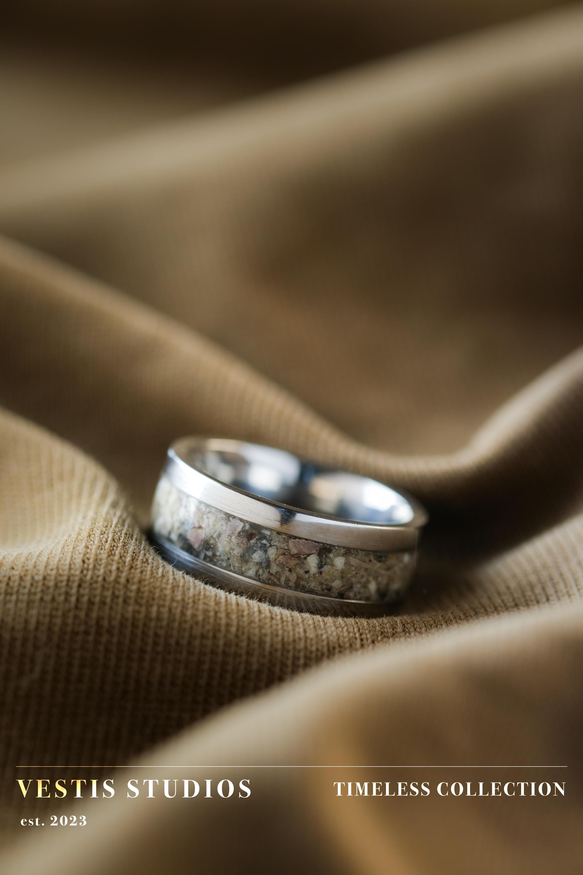 Shark Tooth Fossil Ring – Steel