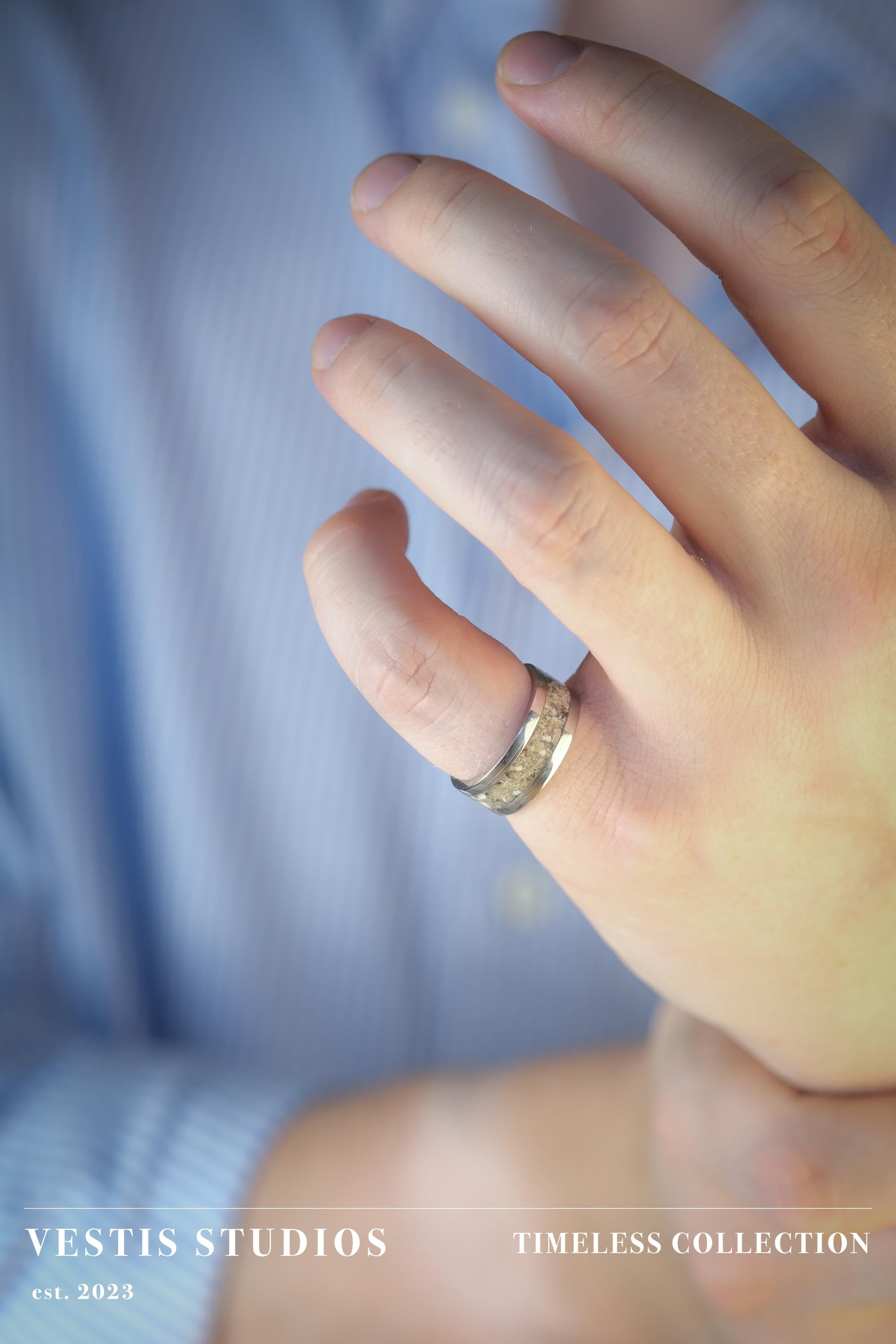 Shark Tooth Fossil Ring – Steel