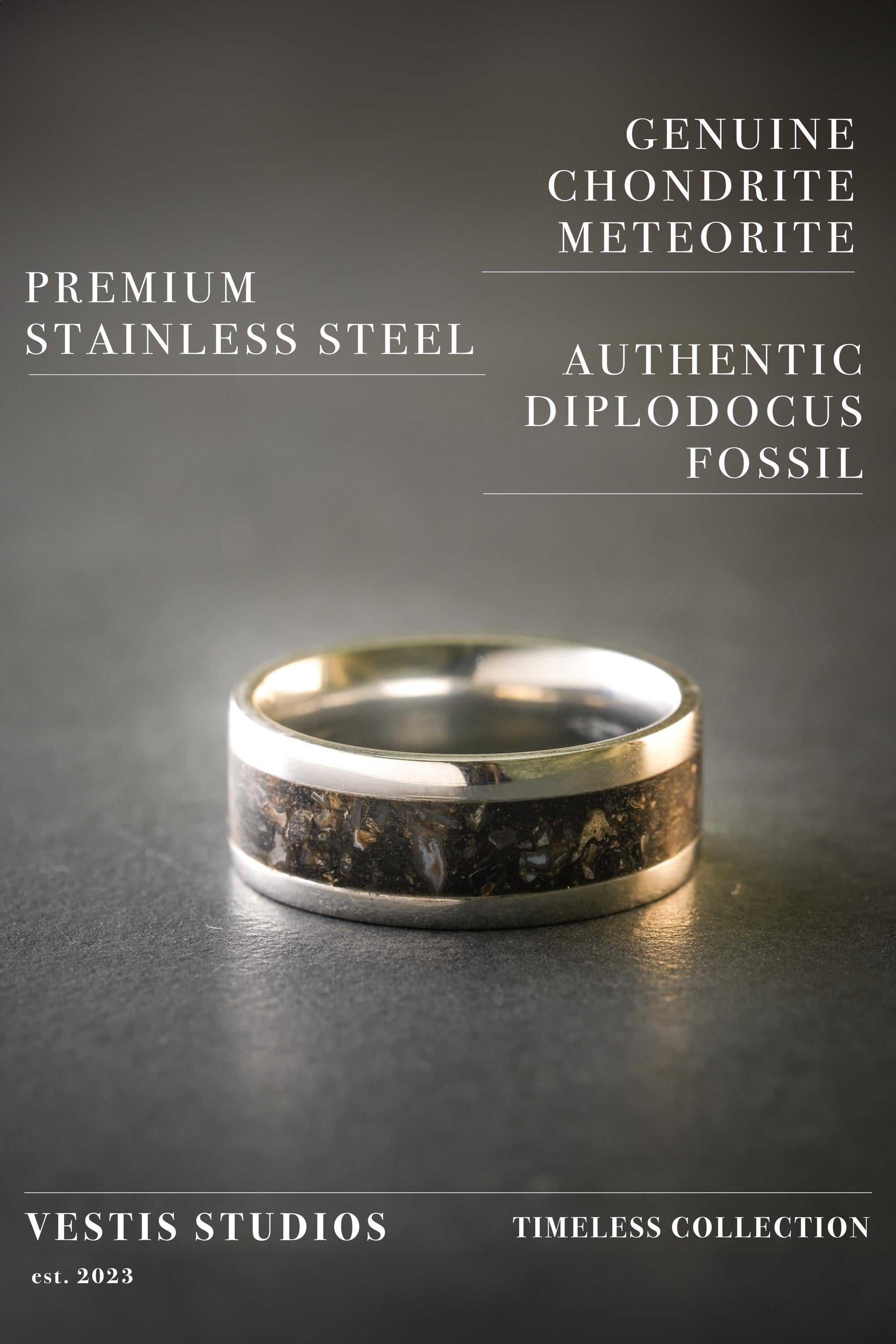 Diplodocus & Meteorite Fossil Ring – Steel