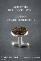 Diplodocus & Meteorite Cufflinks