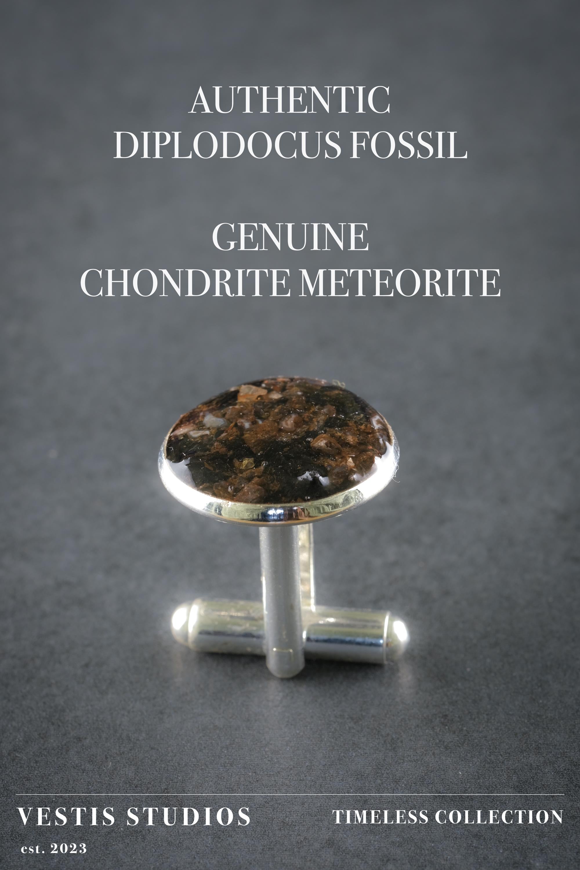 Diplodocus & Meteorite Cufflinks