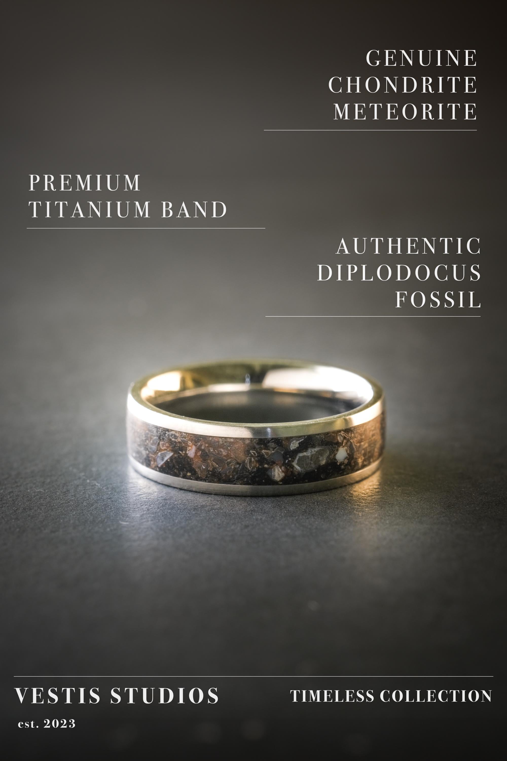 Diplodocus & Meteorite Fossil Ring – Titanium