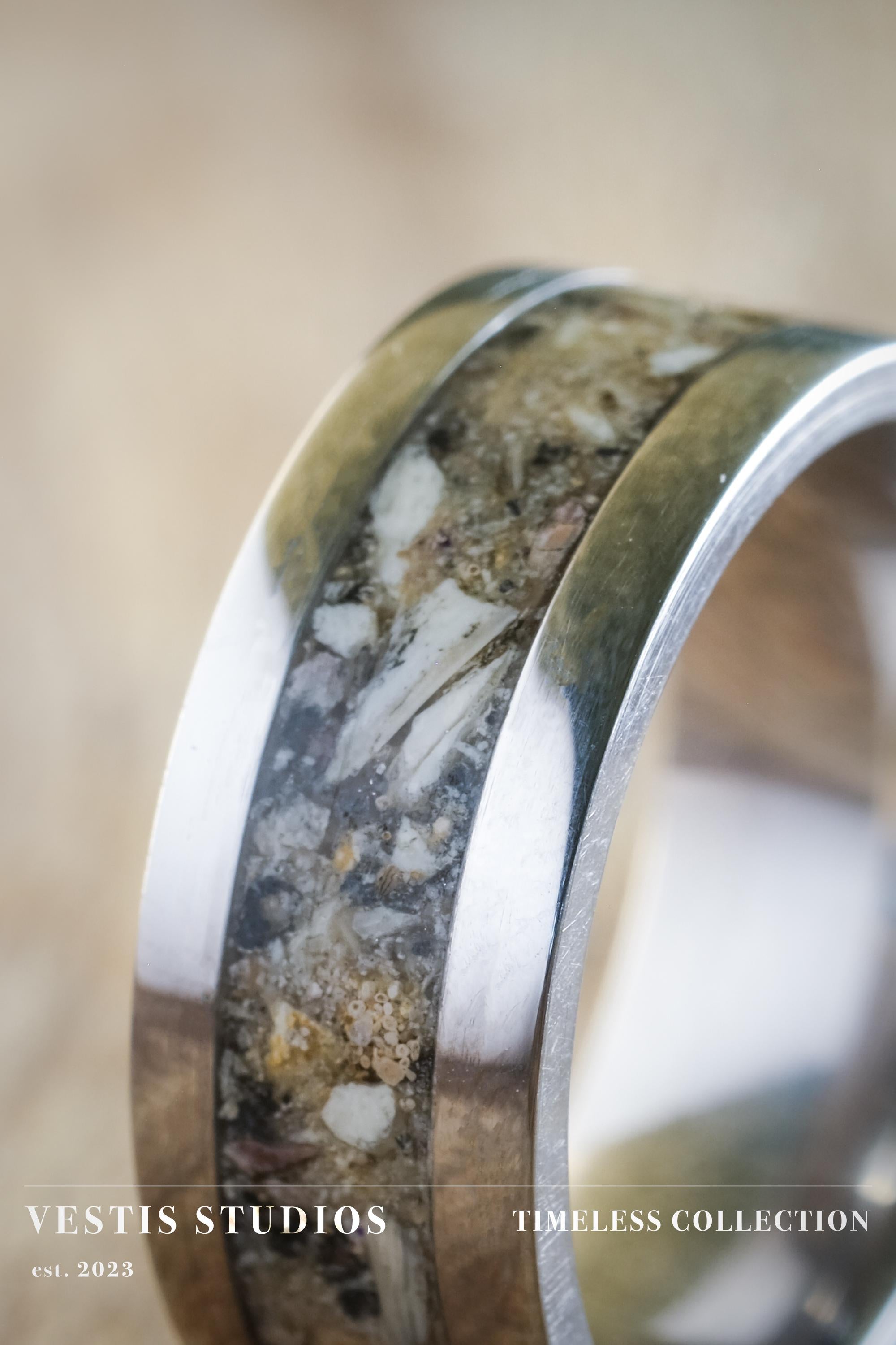 Shark Tooth Fossil Ring – Steel