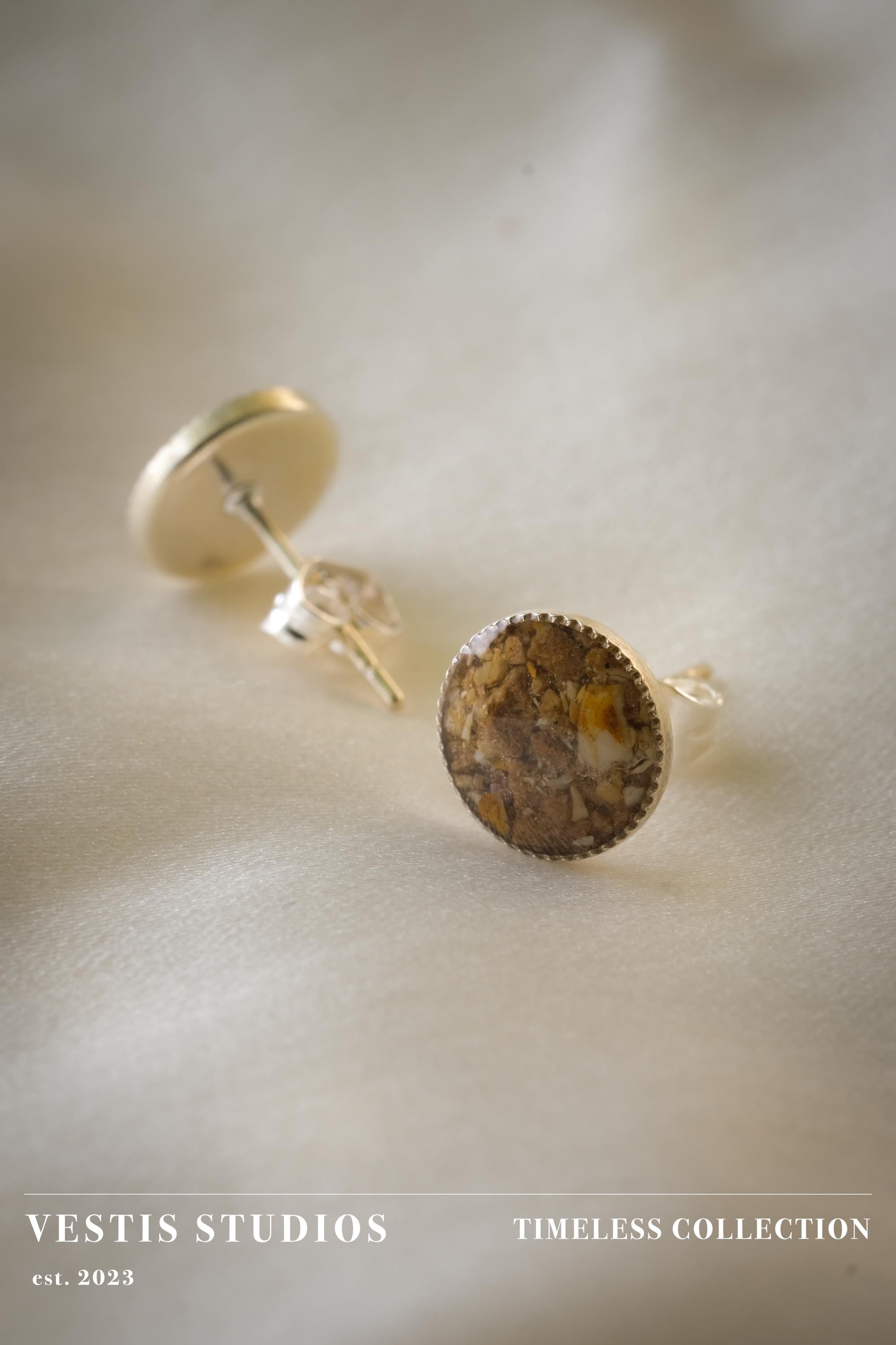 Spinosaurus Tooth & Mosasaur Fossil Earrings – Sterling Silver