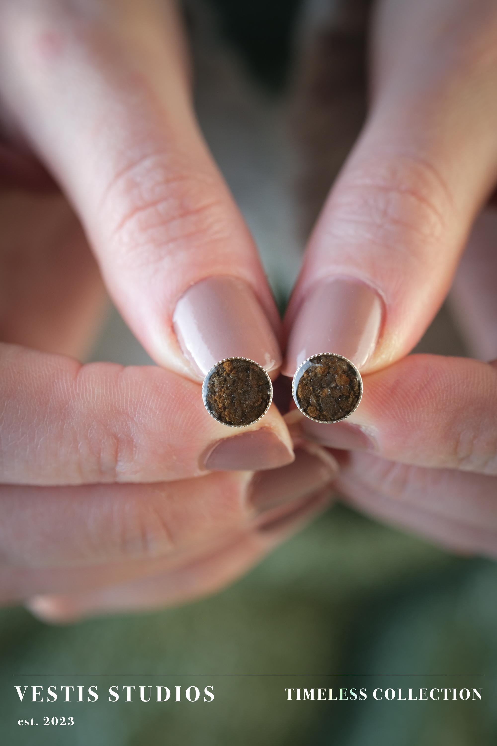 Triceratops Fossil Earrings – Sterling Silver