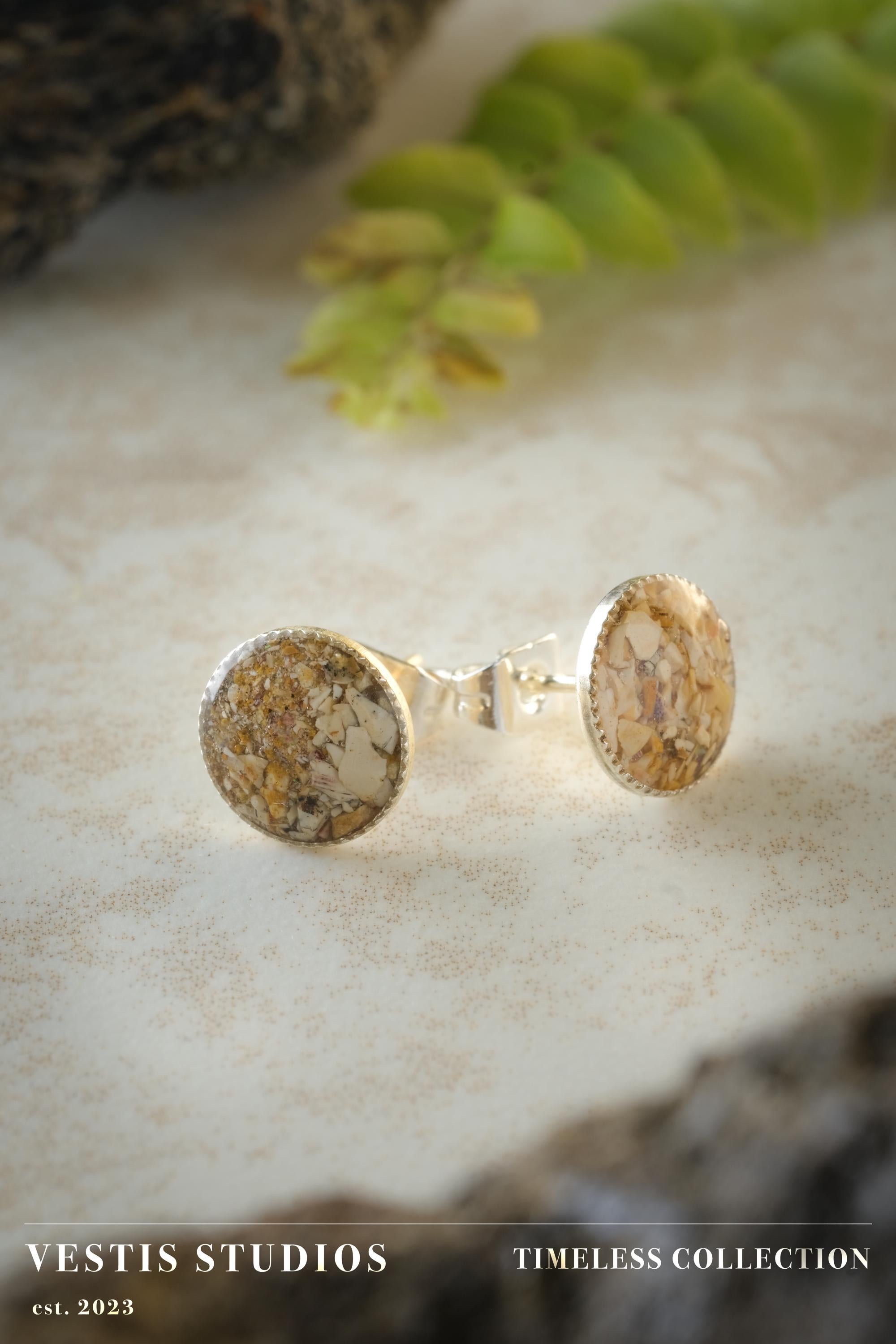 Spinosaurus Tooth Earrings – Sterling Silver