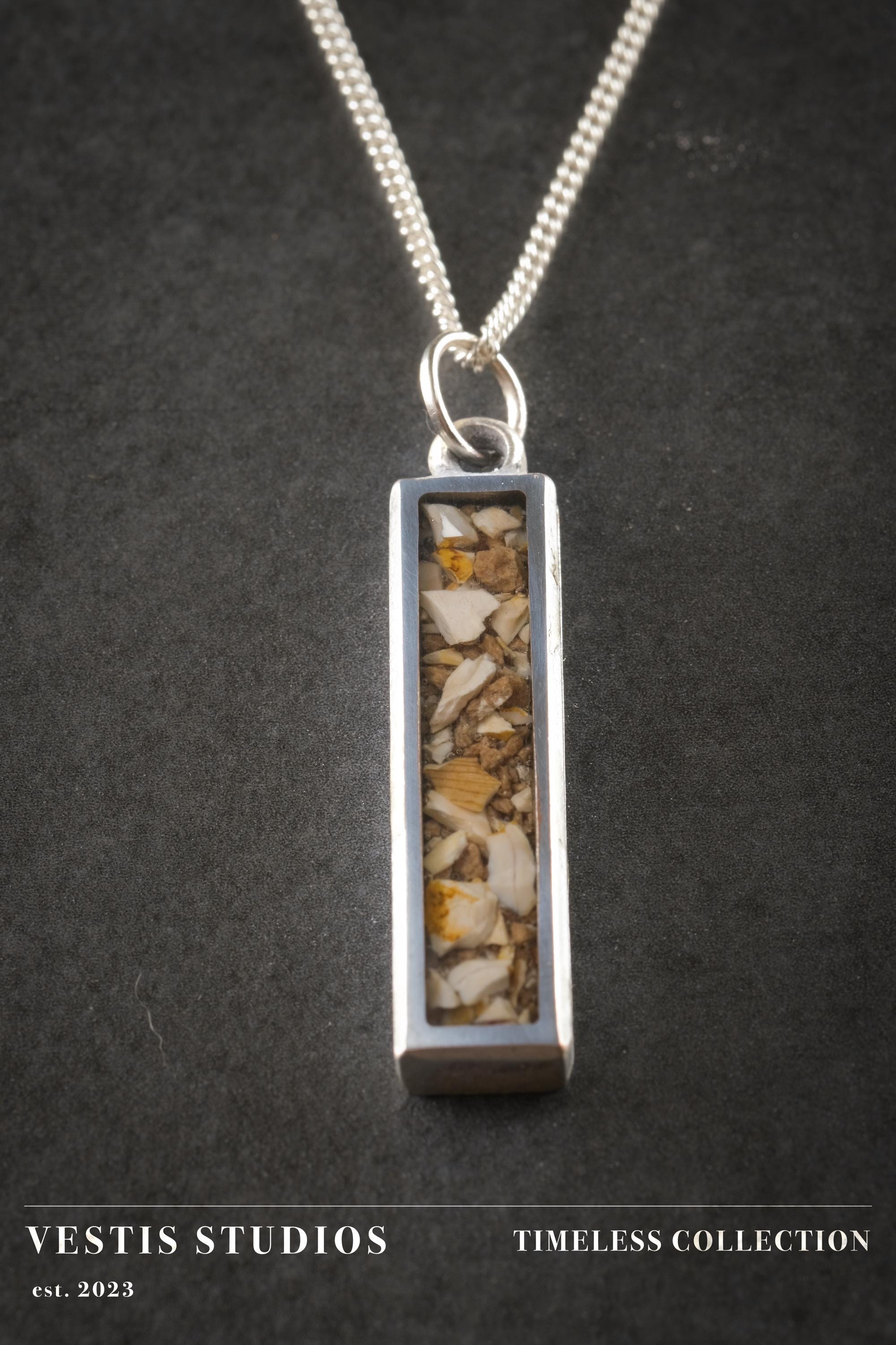 Spinosaurus Tooth & Mosasaur Fossil Necklace – Plated Silver