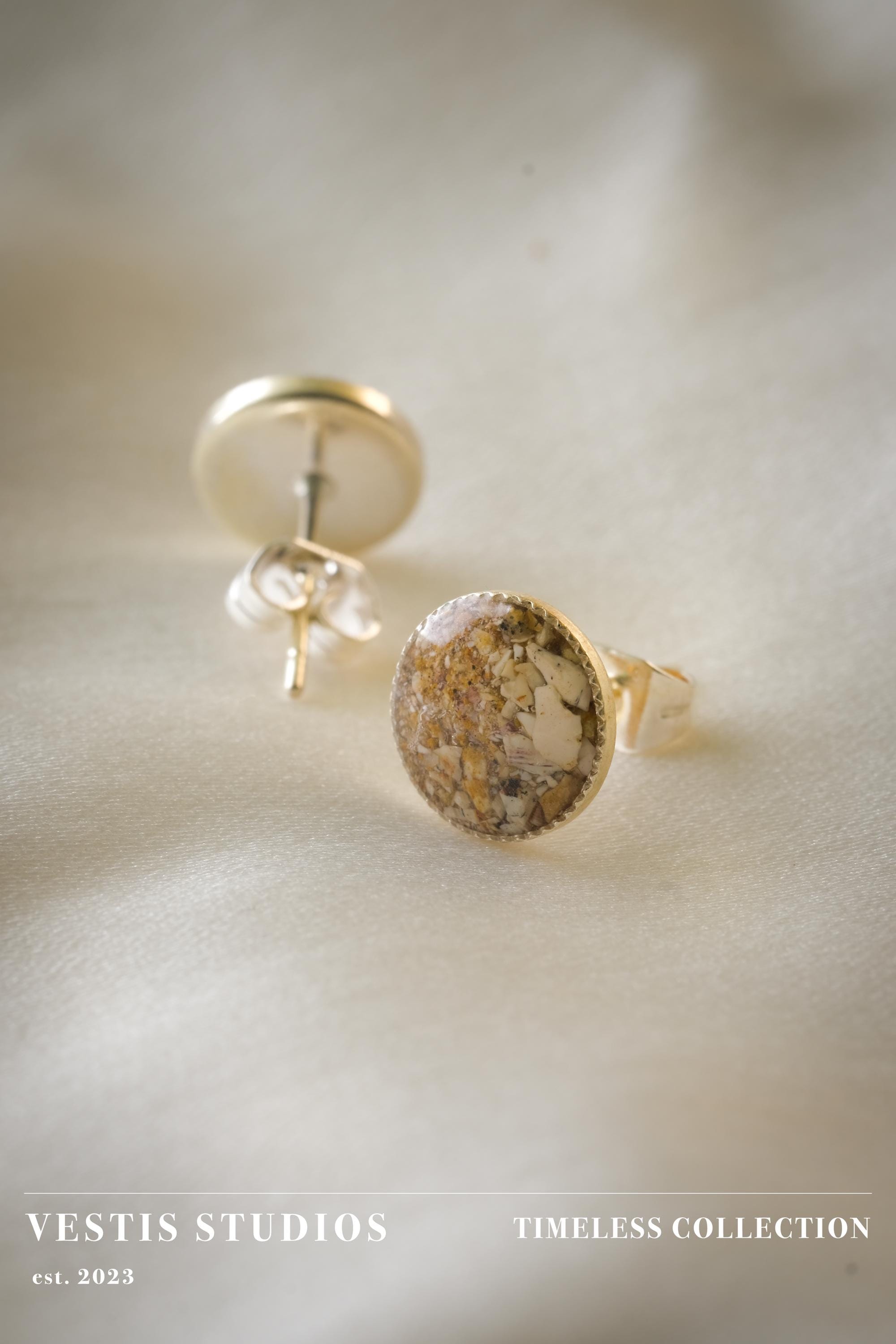 Spinosaurus Tooth Earrings – Sterling Silver