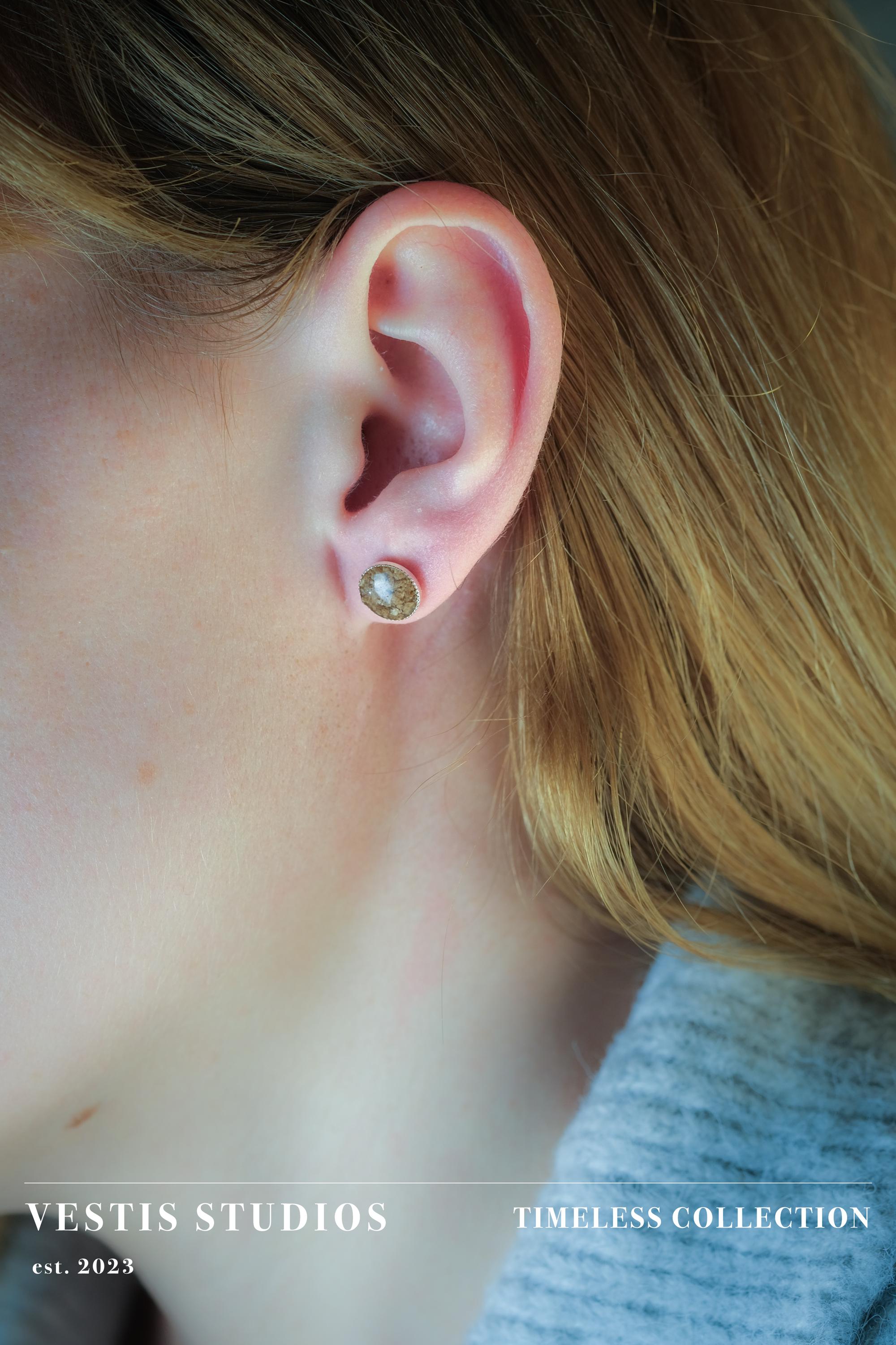 Mosasaur Fossil Earrings – Sterling Silver