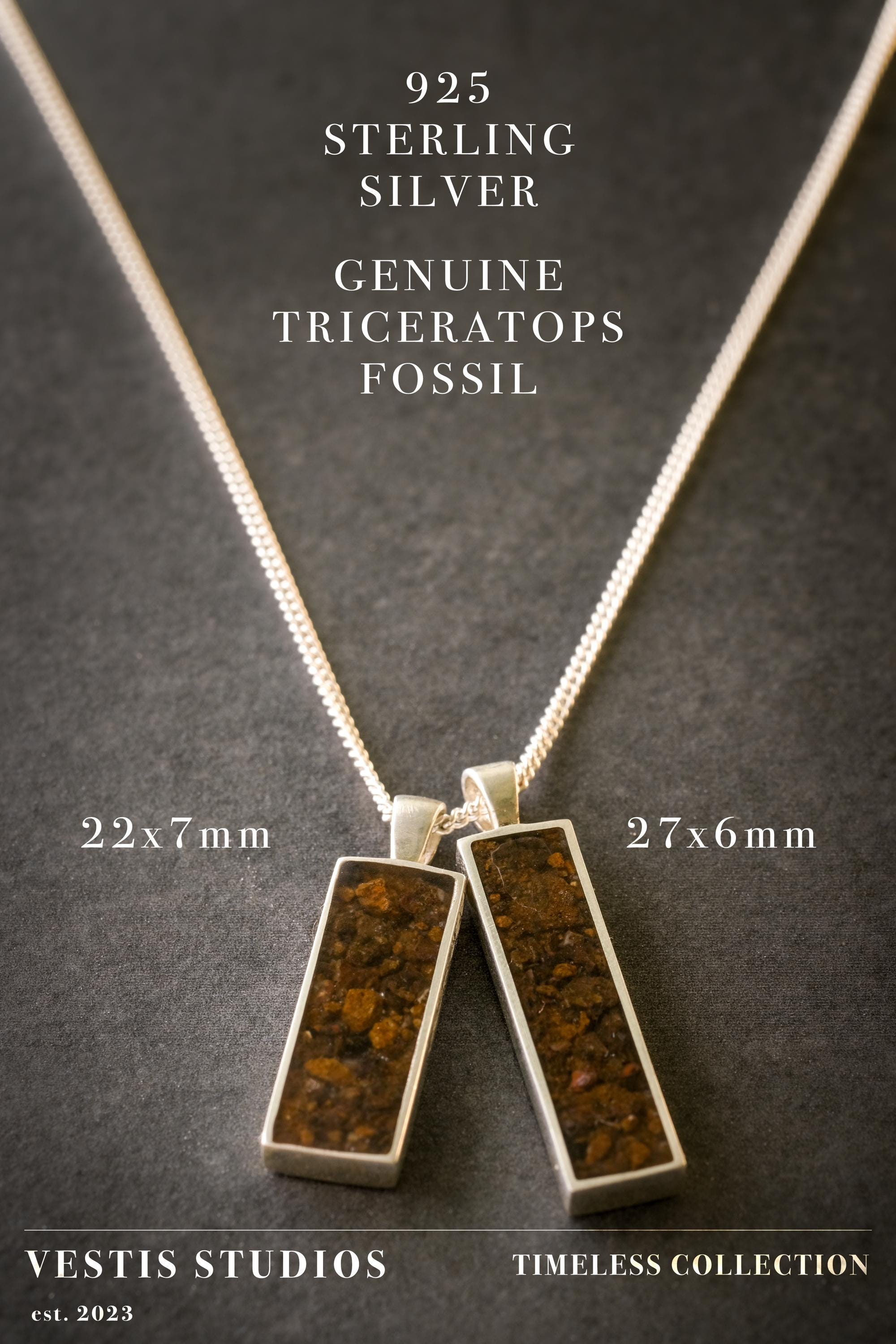 Triceratops Fossil Necklace – Sterling Silver