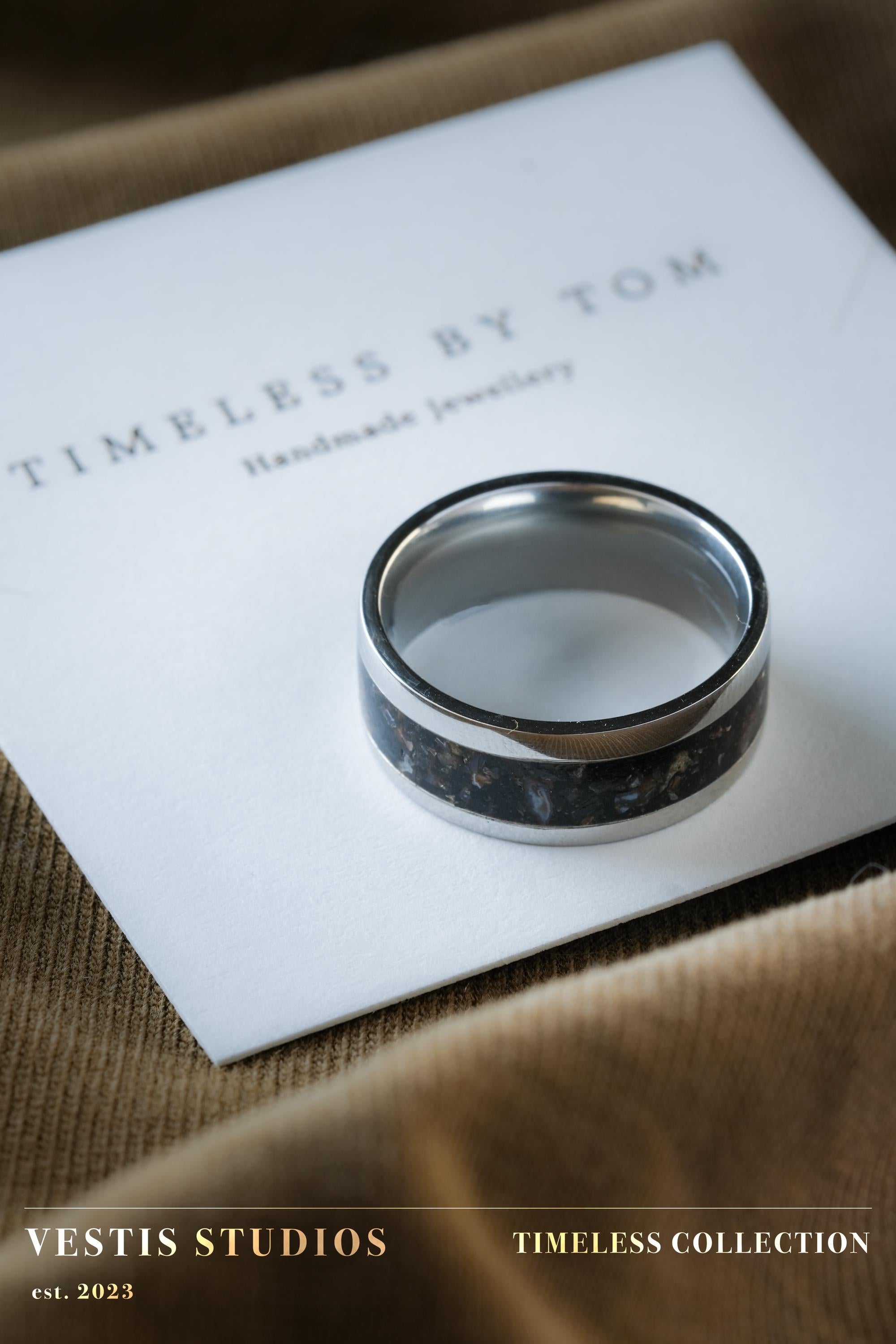 Diplodocus & Meteorite Fossil Ring – Steel