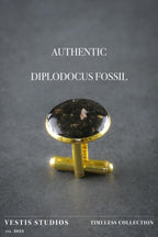 Diplodocus Fossil Cufflinks