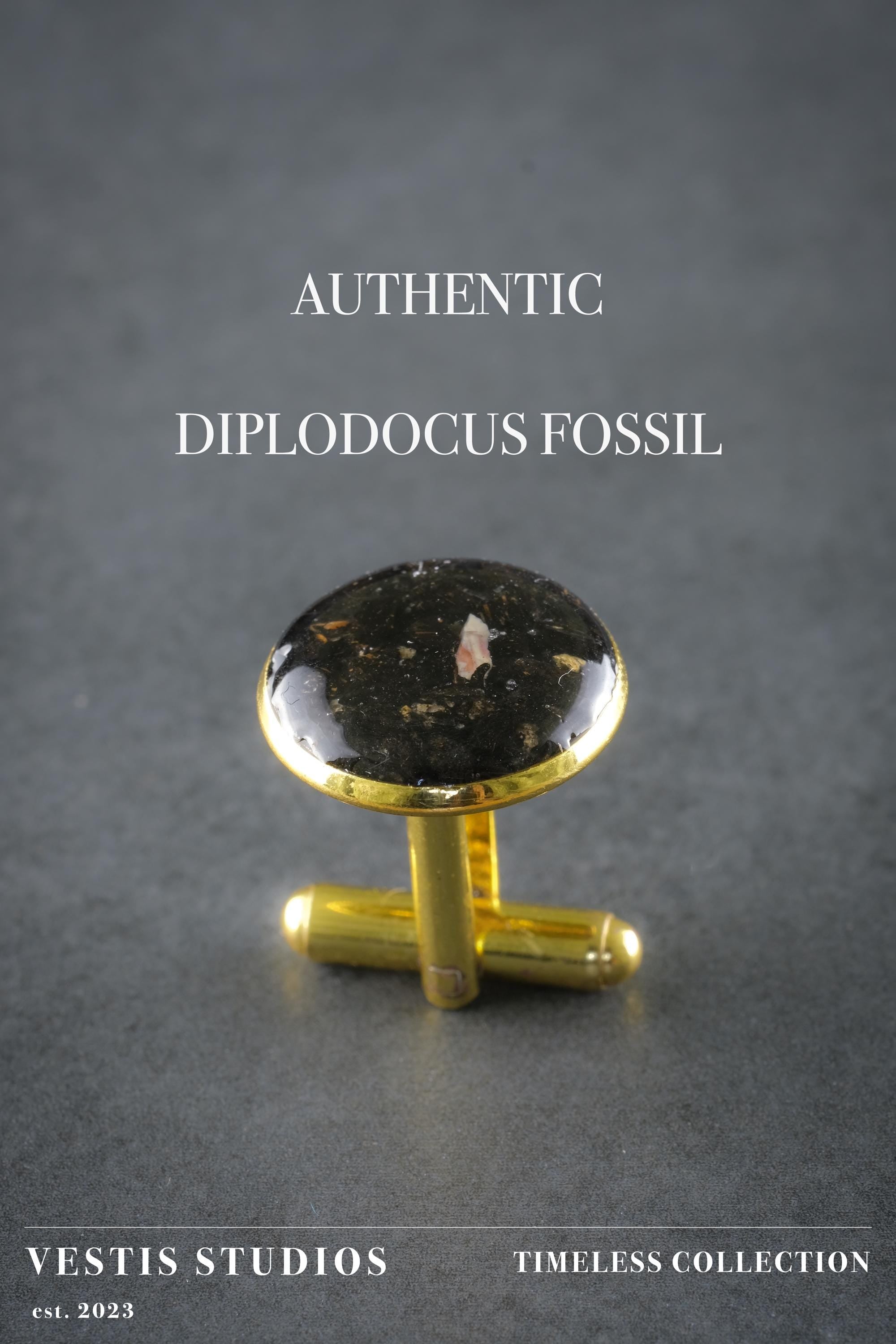 Diplodocus Fossil Cufflinks