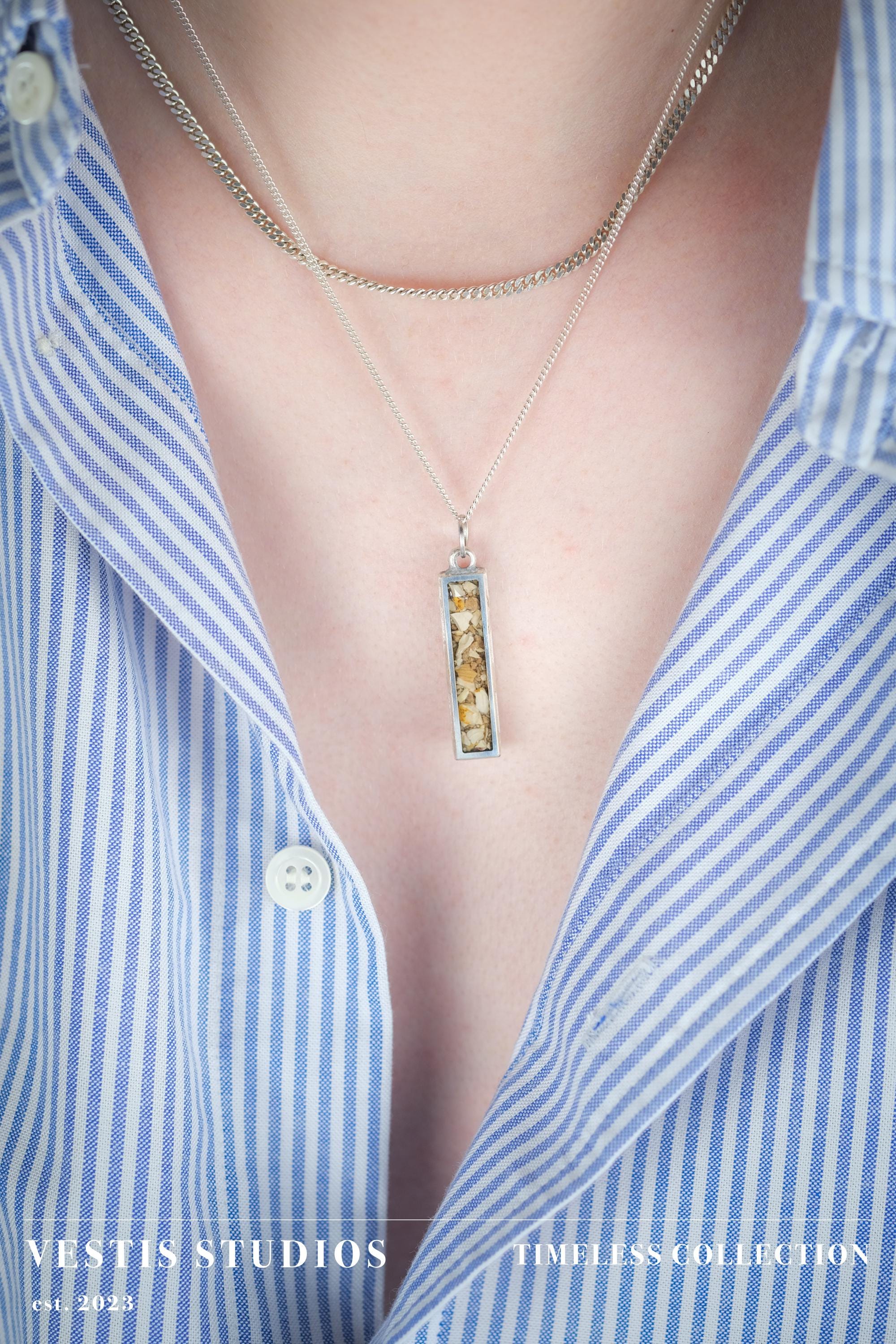 Spinosaurus Tooth & Mosasaur Fossil Necklace – Plated Silver