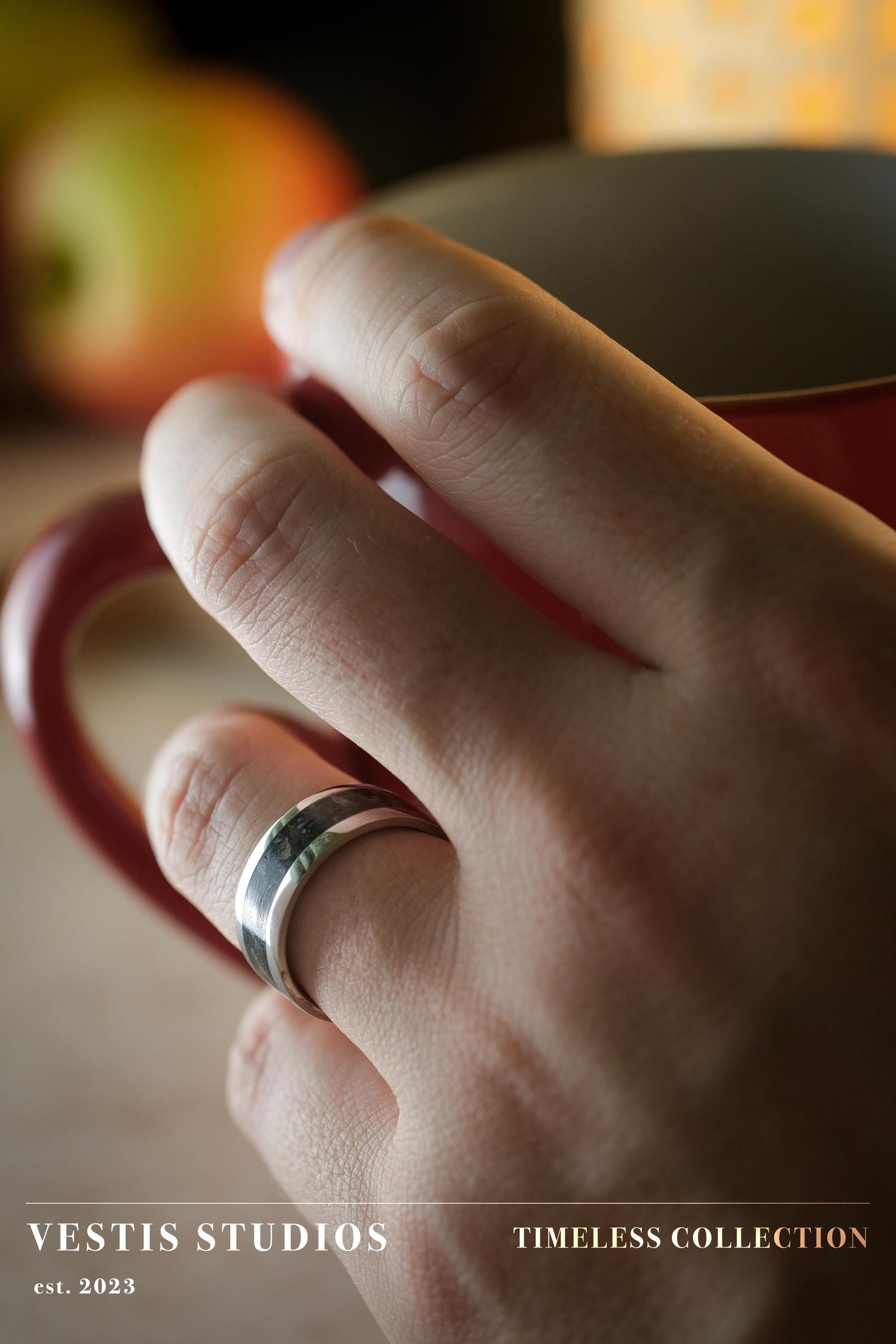 Diplodocus & Meteorite Fossil Ring – Steel