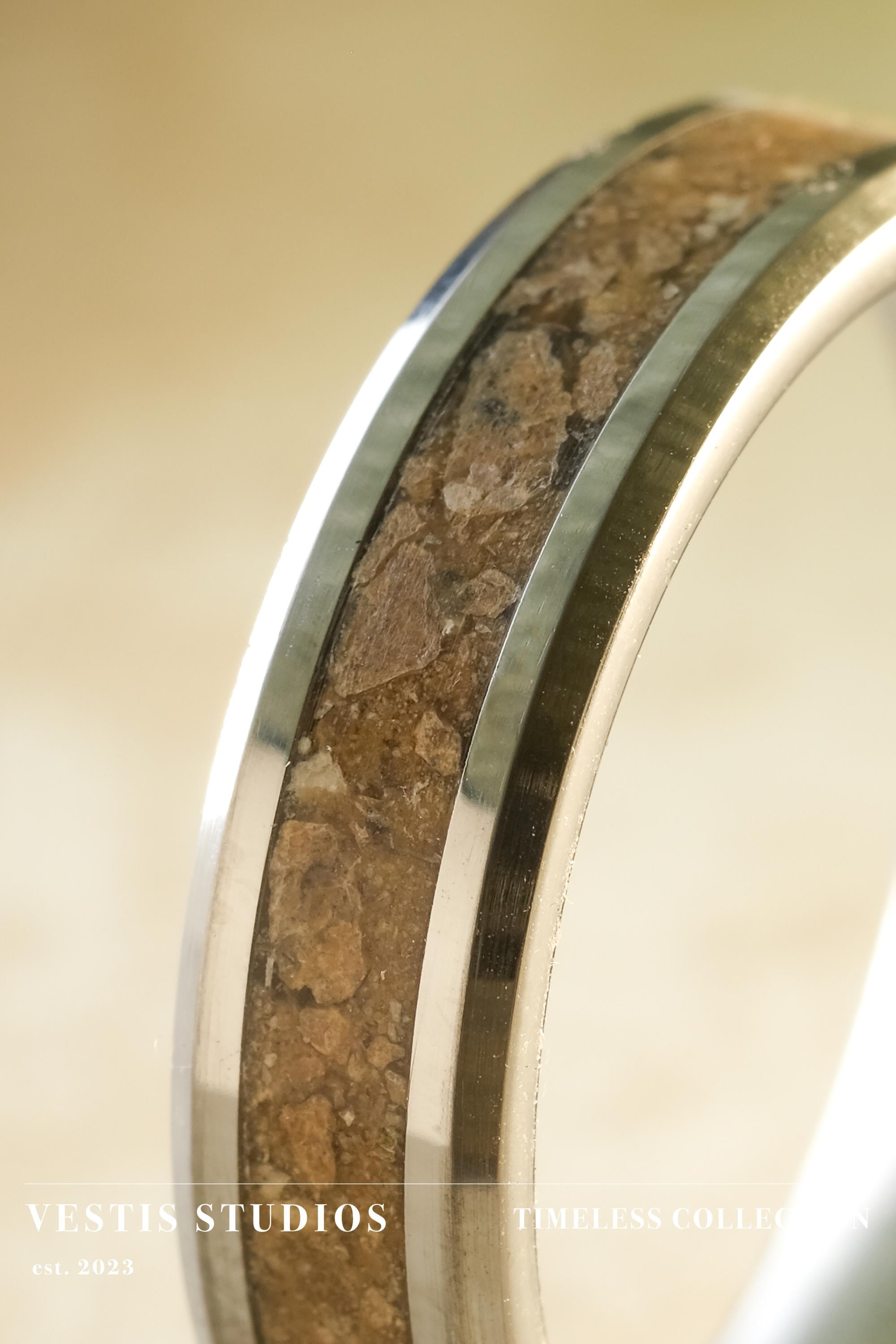 Mosasaur Fossil Ring – Tungsten Carbide