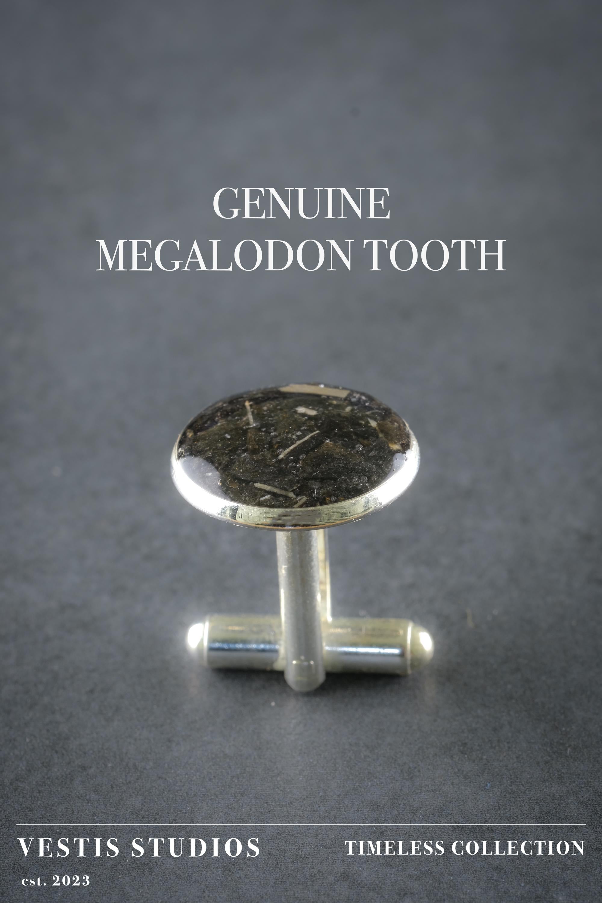 Megalodon Tooth Cufflinks