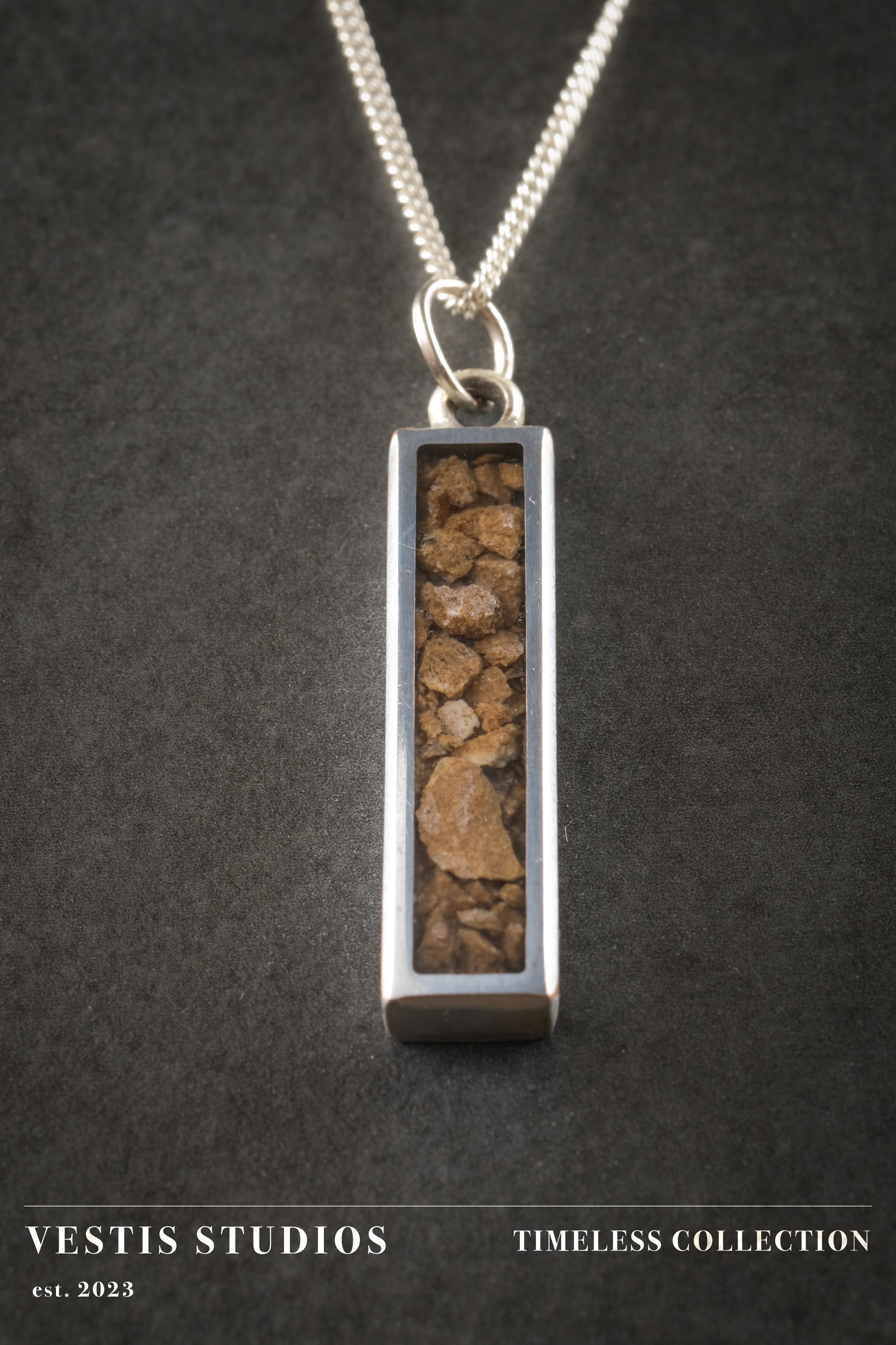 Mosasaur Fossil Necklace – Plated Silver