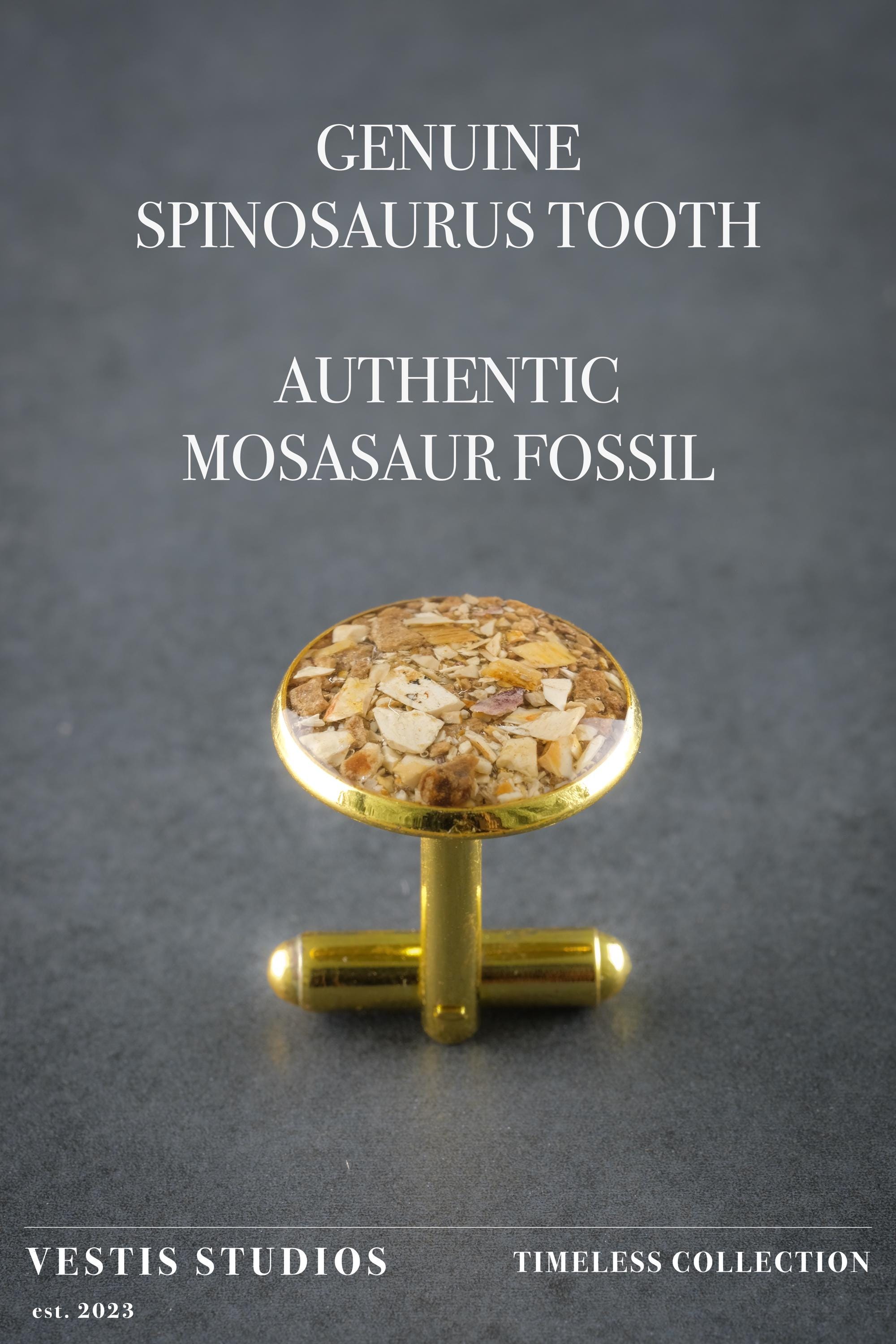 Spinosaurus & Mosasaur Fossil Cufflinks