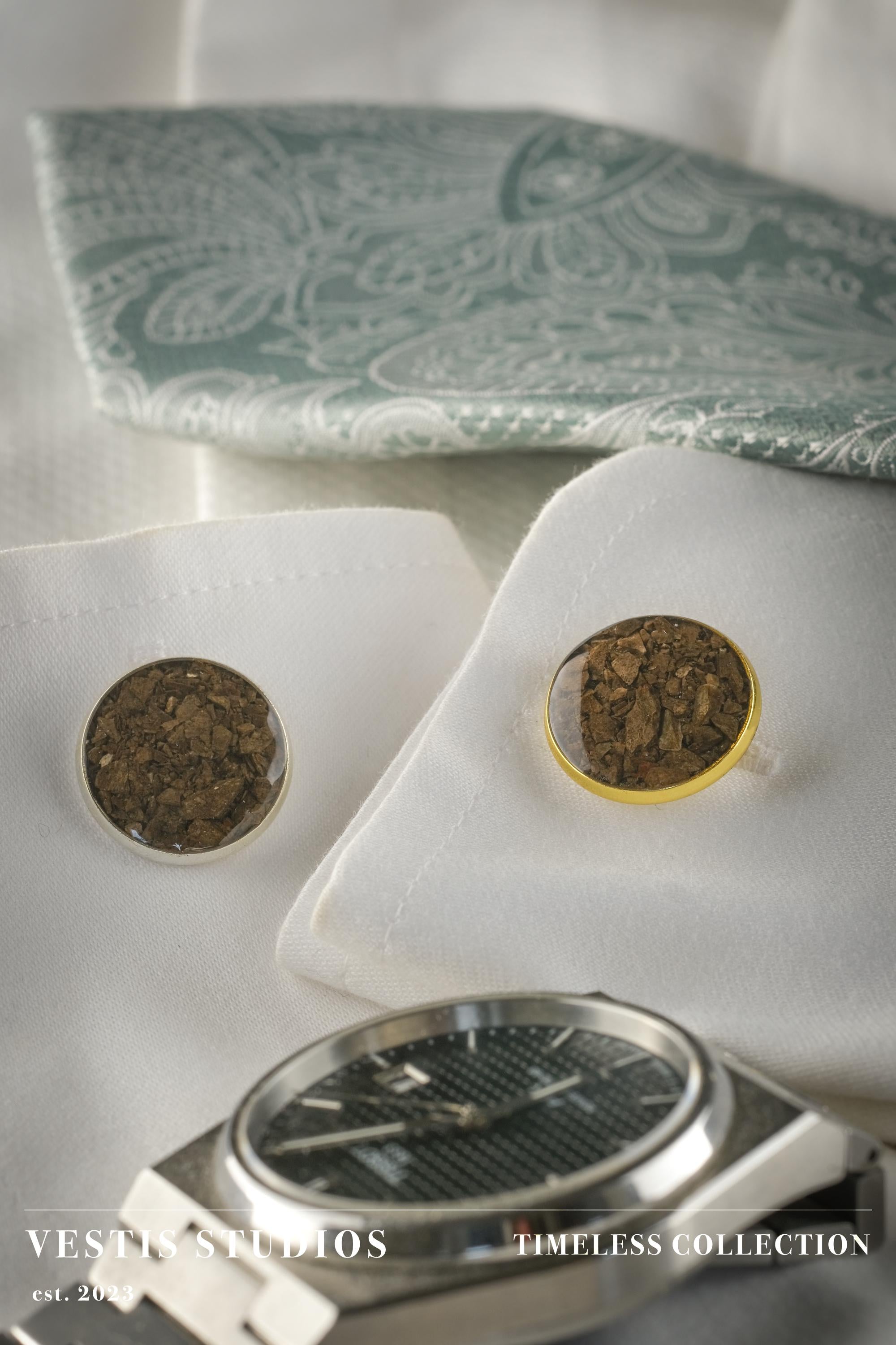 T. Rex Fossil Cufflinks