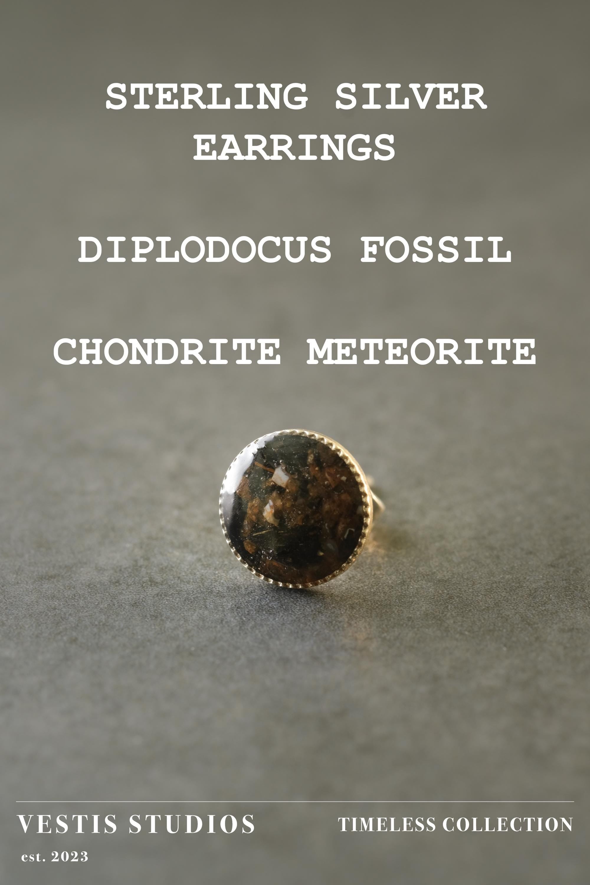 Diplodocus Fossil & Meteorite Earrings – Sterling Silver