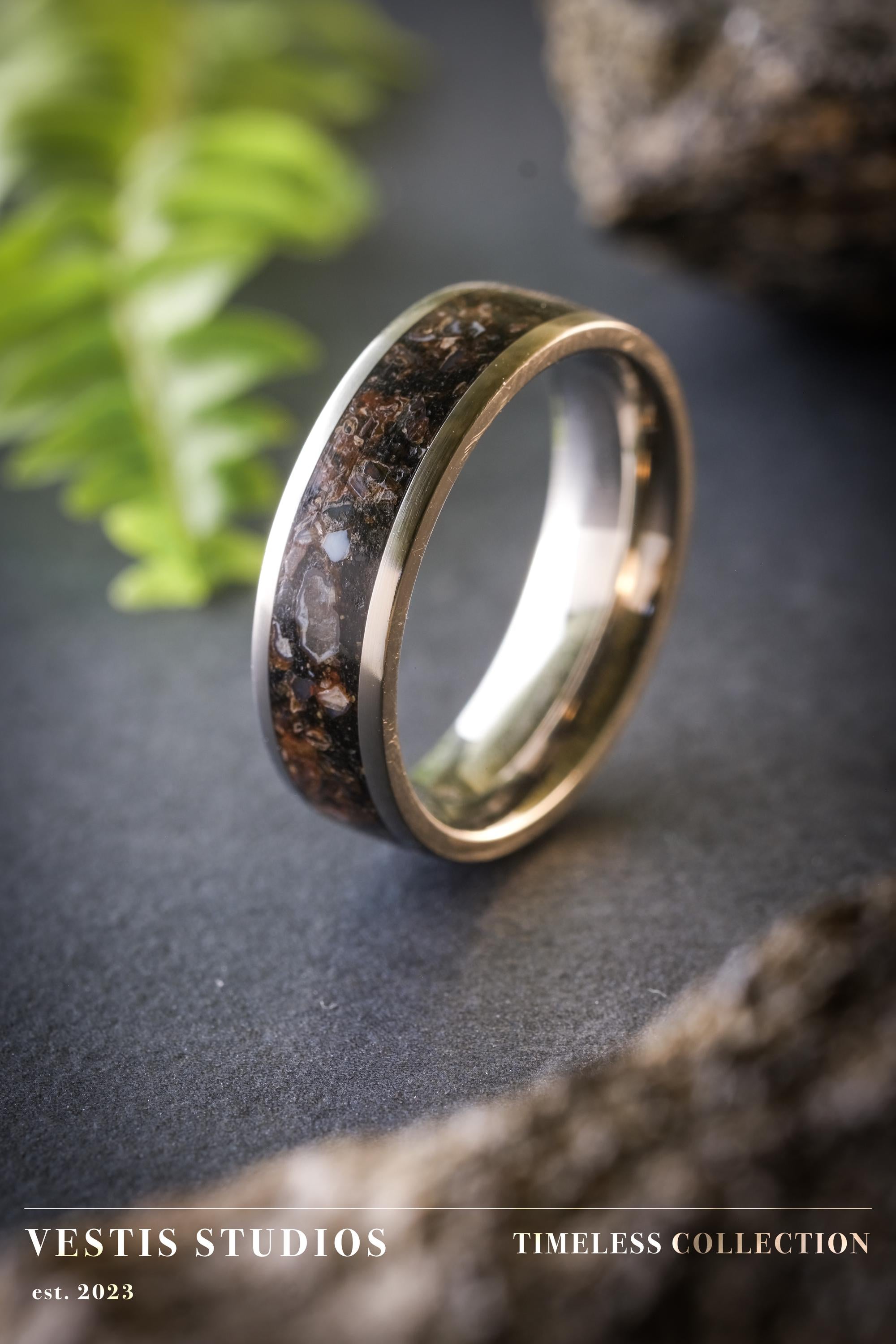 Diplodocus & Meteorite Fossil Ring – Titanium