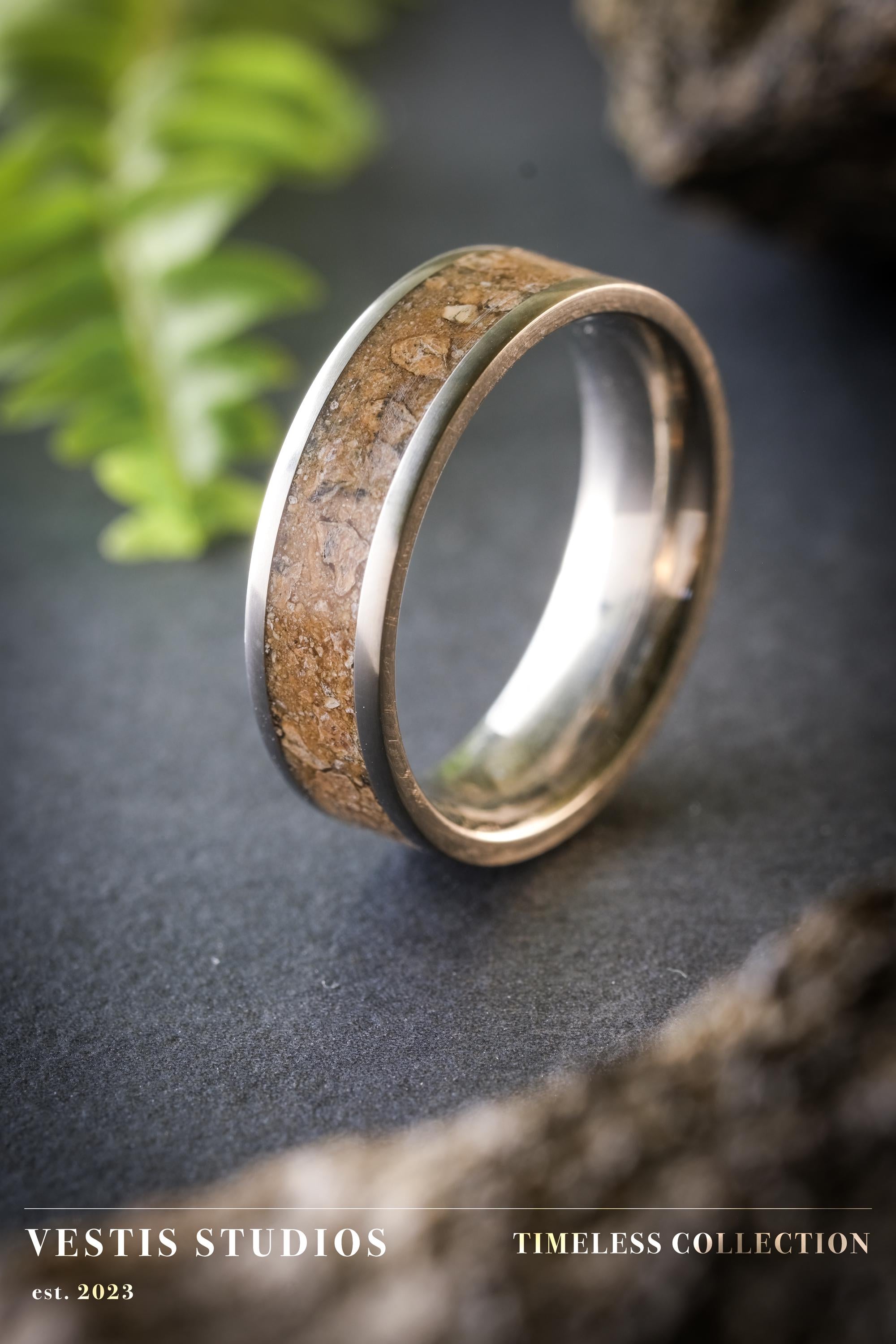 Mosasaur Fossil Ring – Titanium